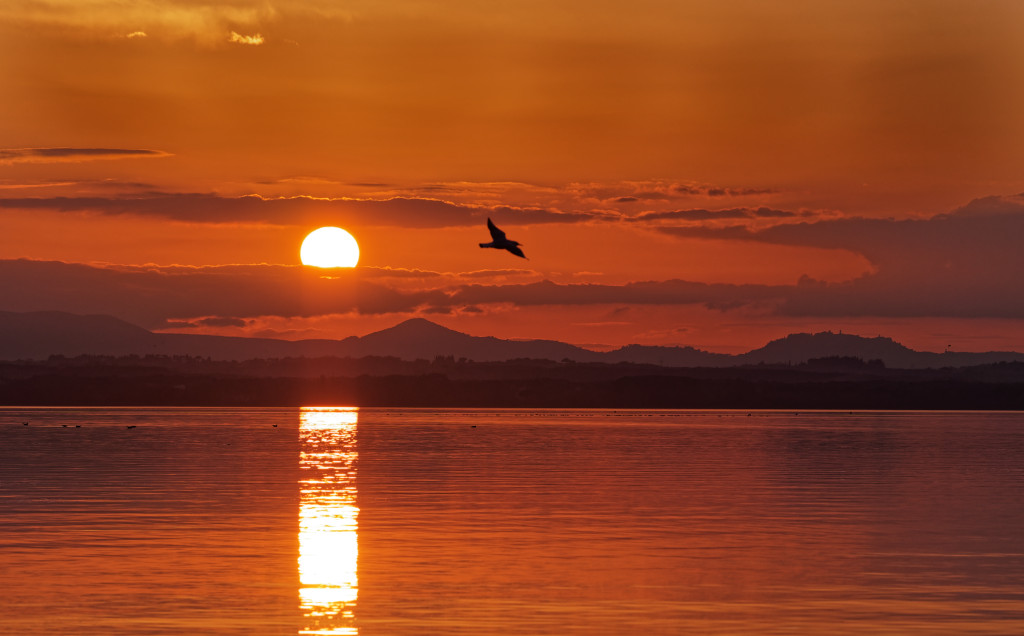 Flying over the sunset