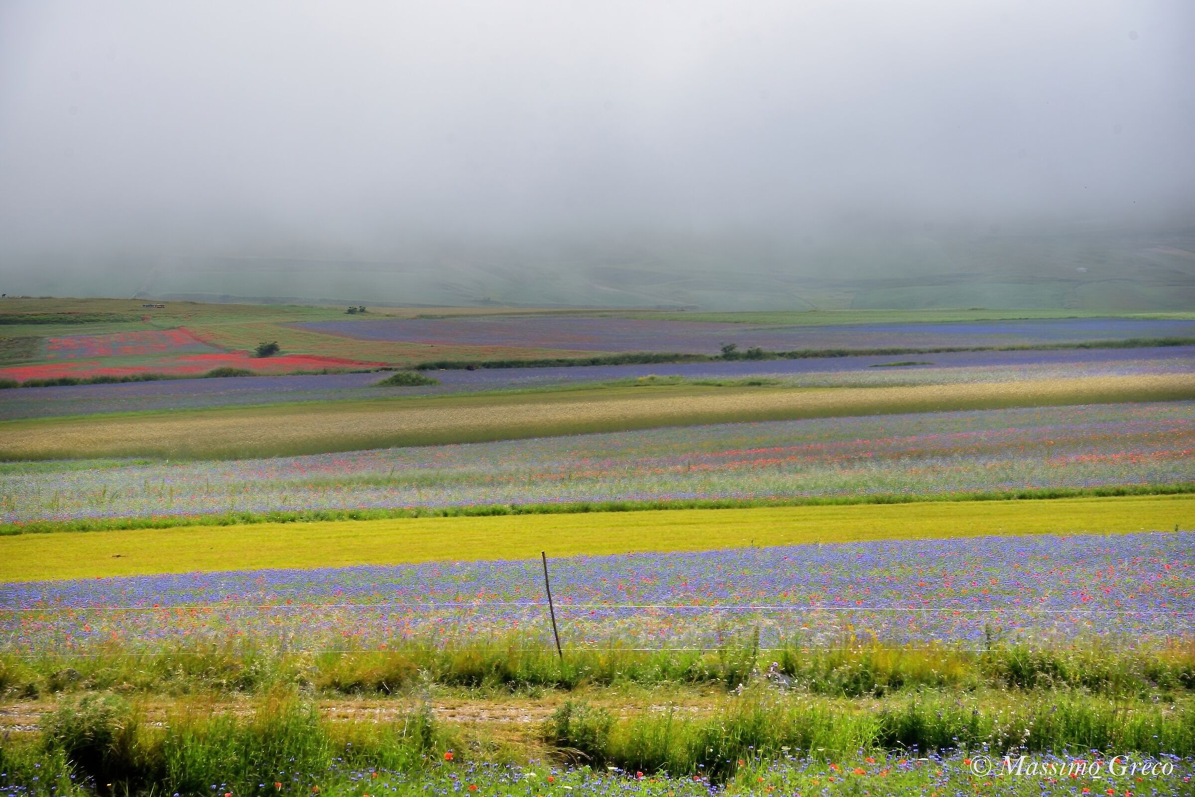La nebbia mattutina su Castelluccio di Norcia