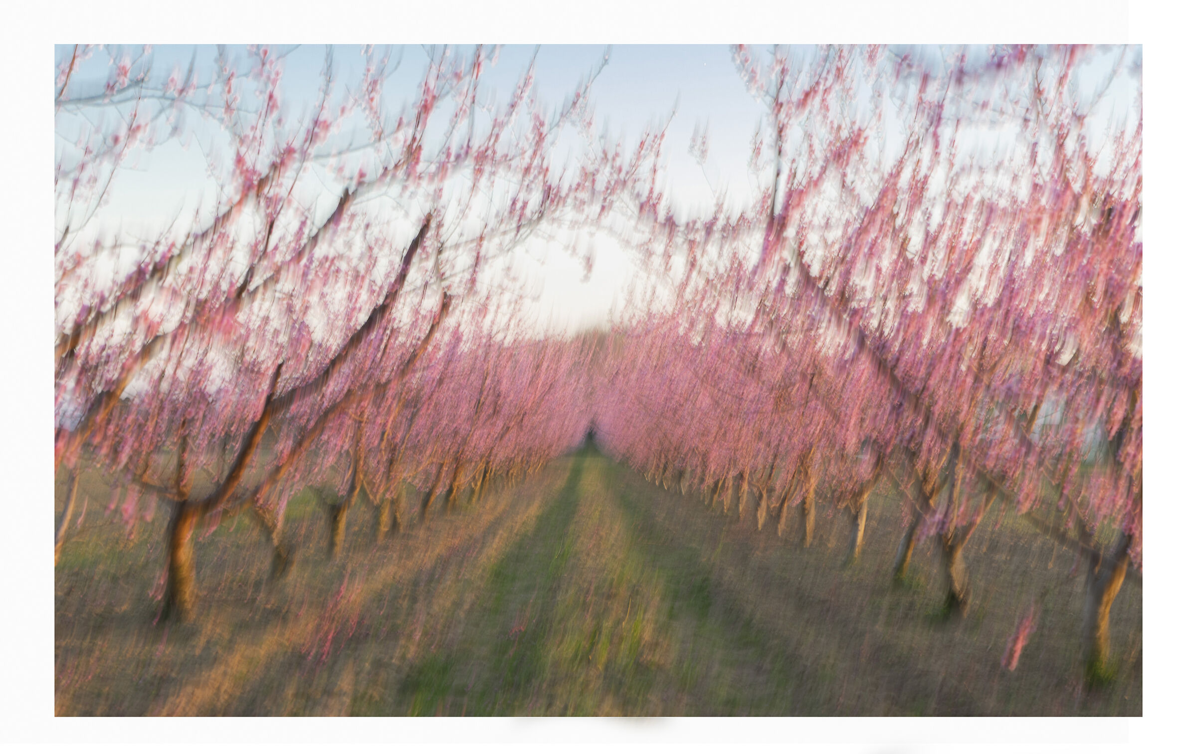 prove di impressionismo