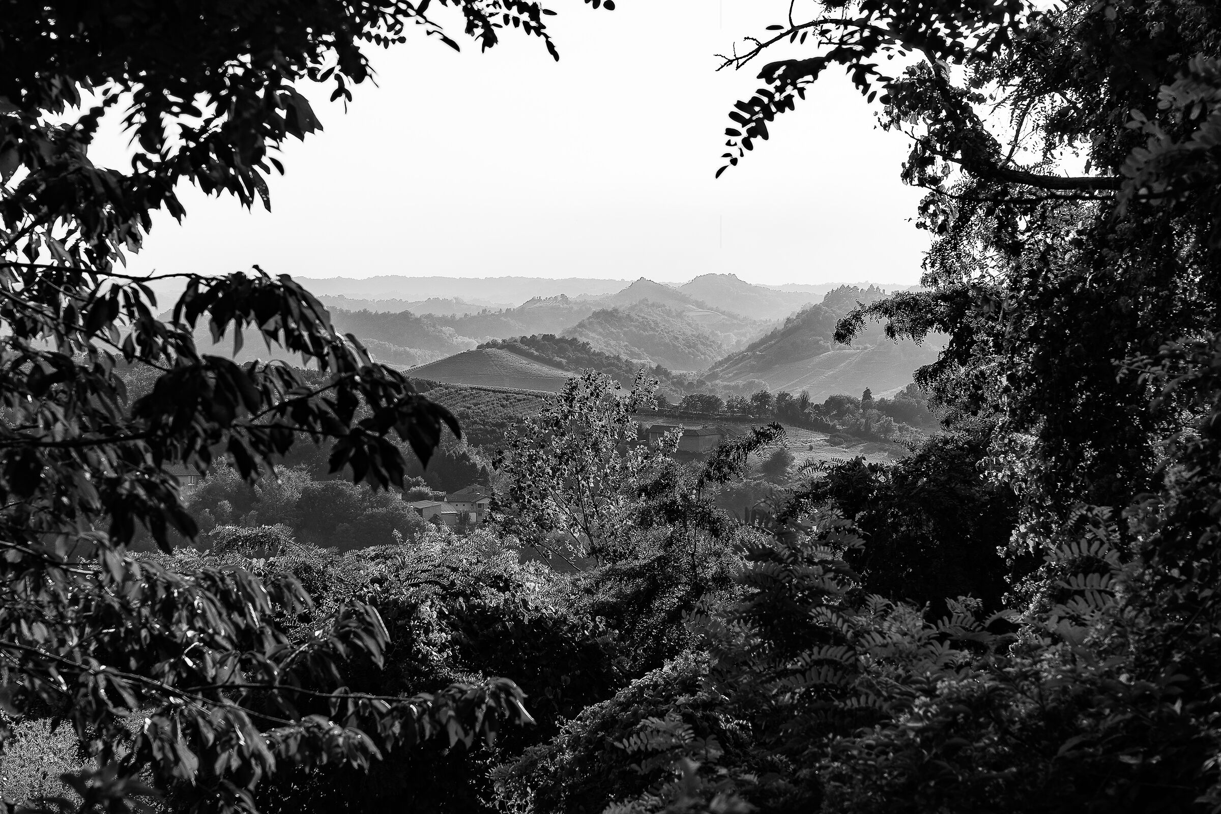 Una finestra sulle Langhe