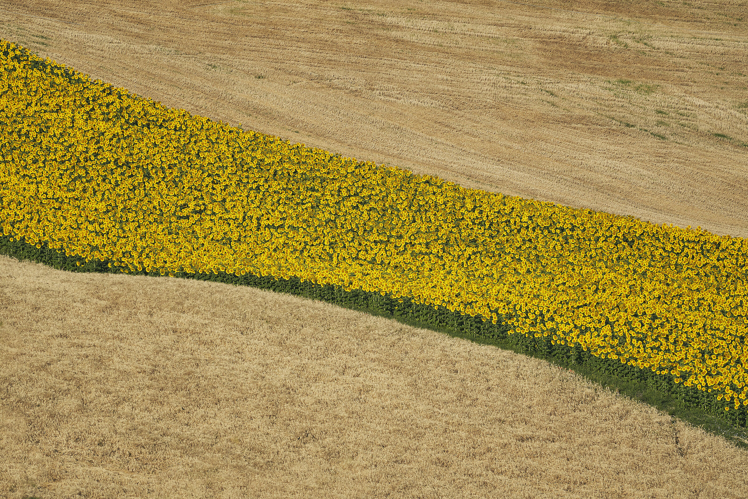 Colori nelle onde II