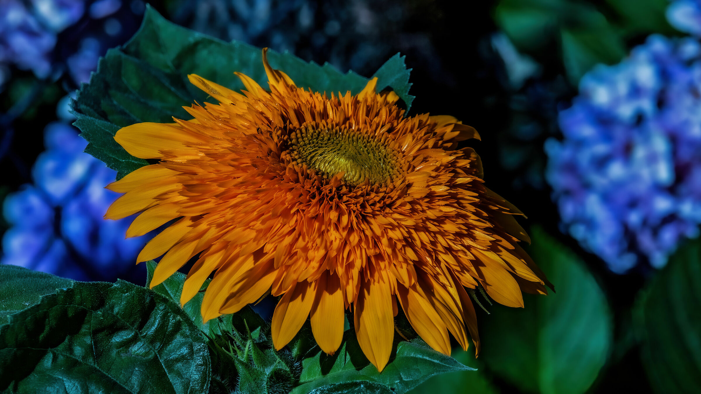 Segni particolari: bellissimo