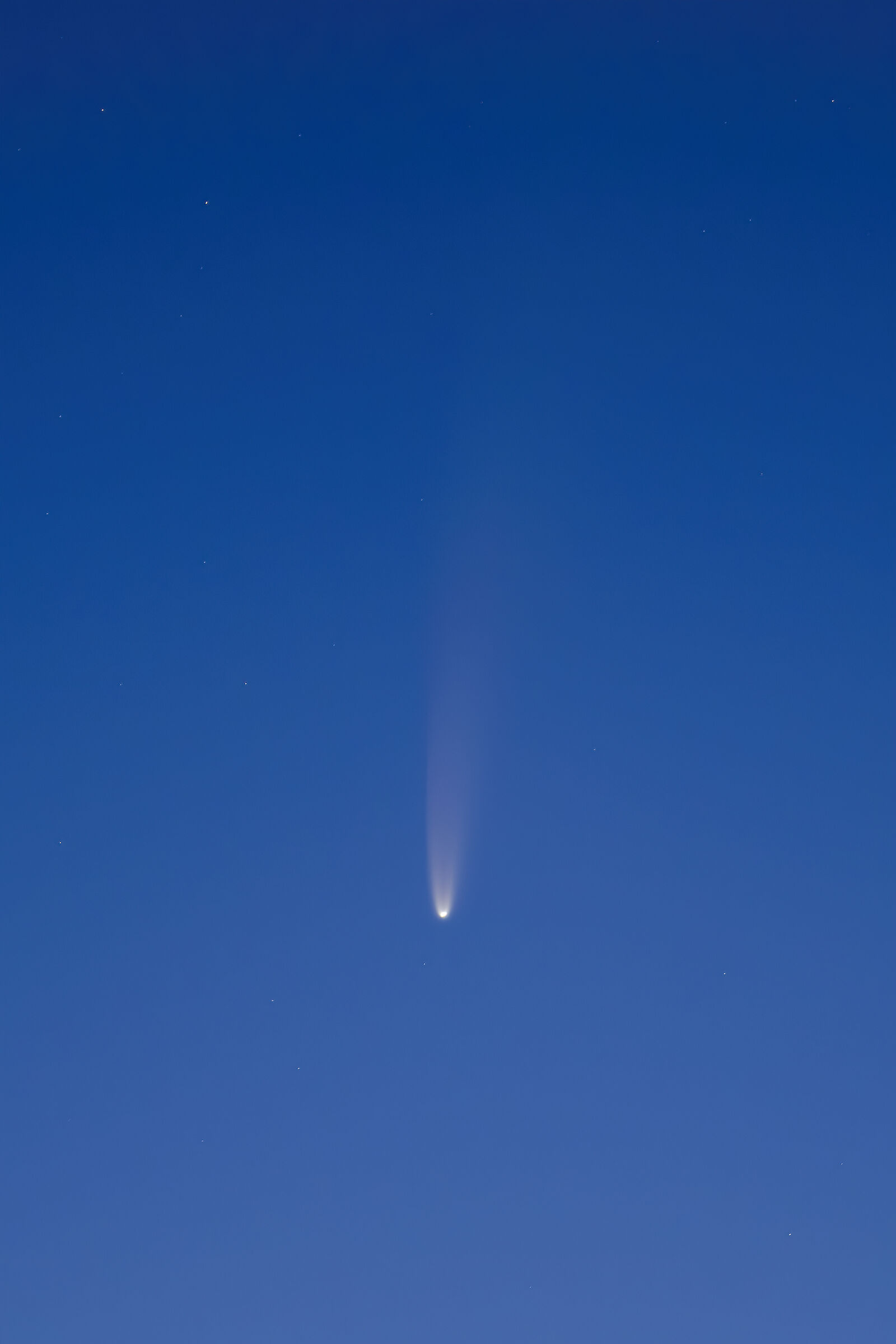 Comet Neowise C/2020 F3