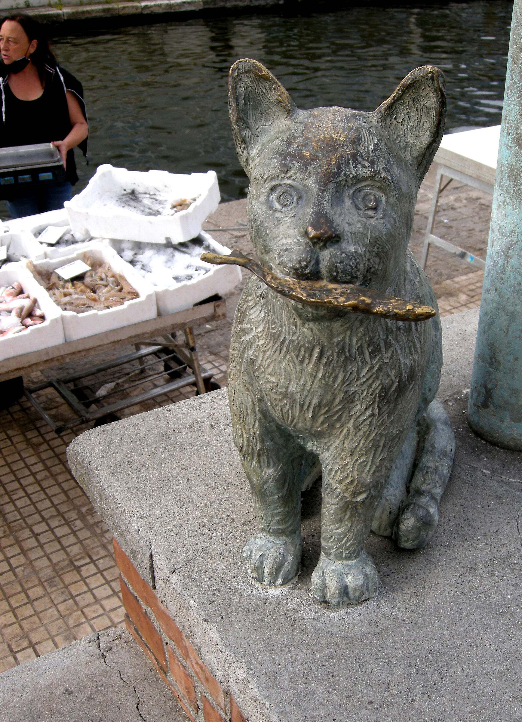 Hector the Fisherman's Cat