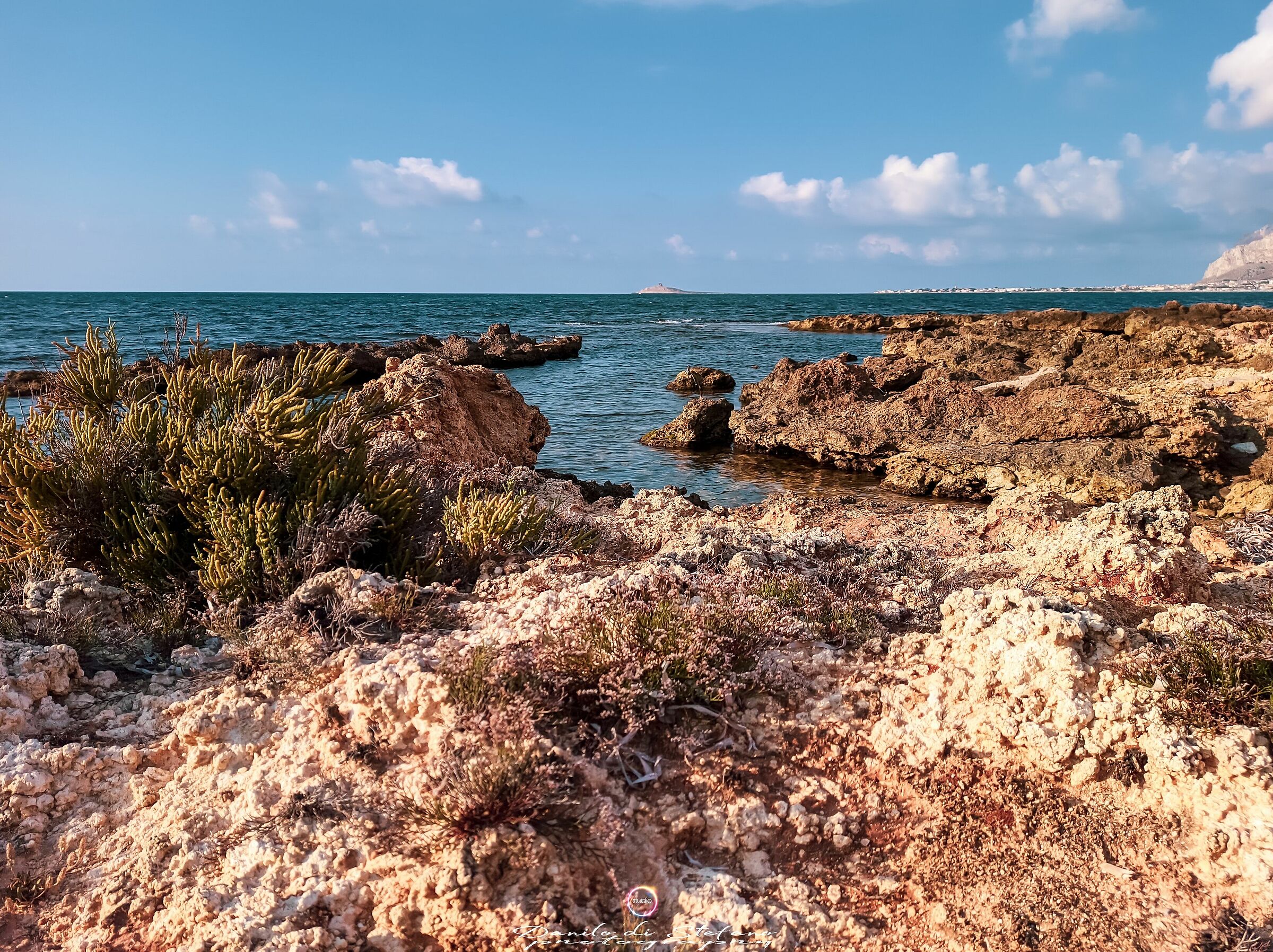 Long sea of cute ( PA )