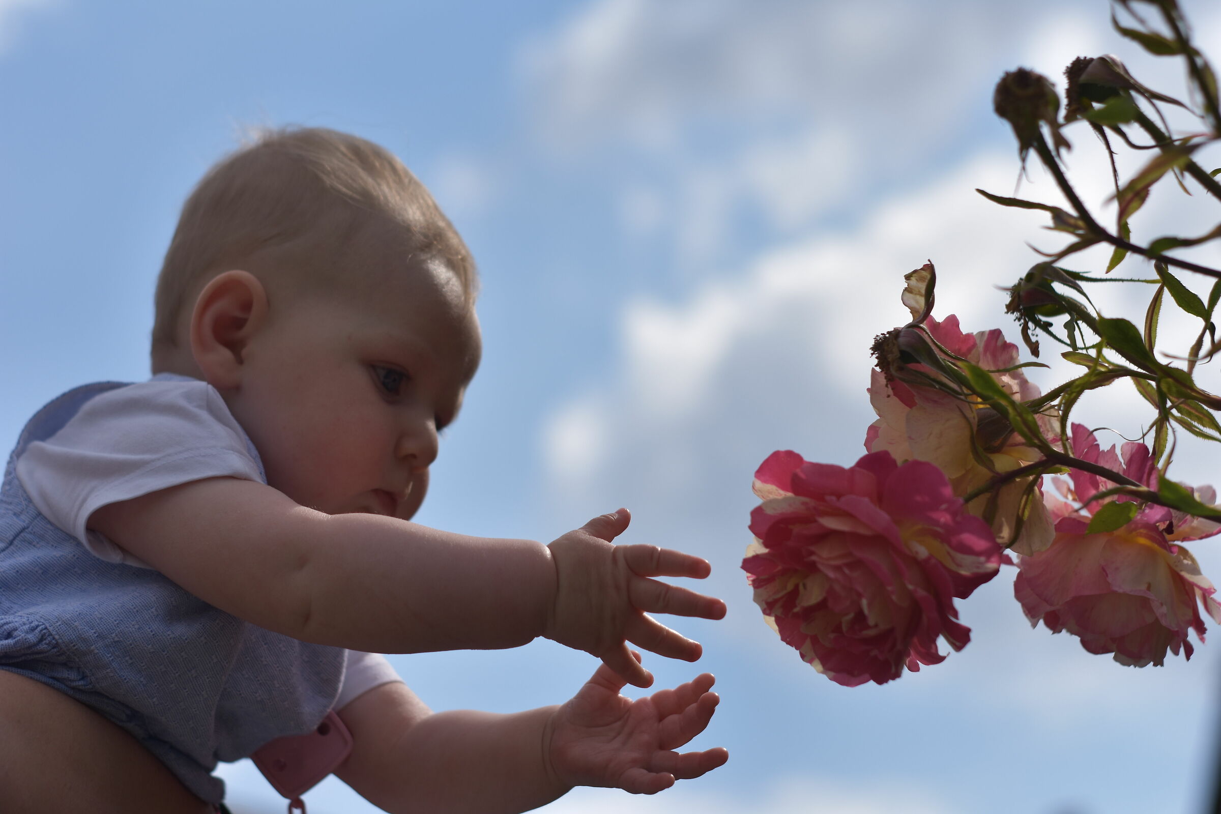 she wants to touch a flower