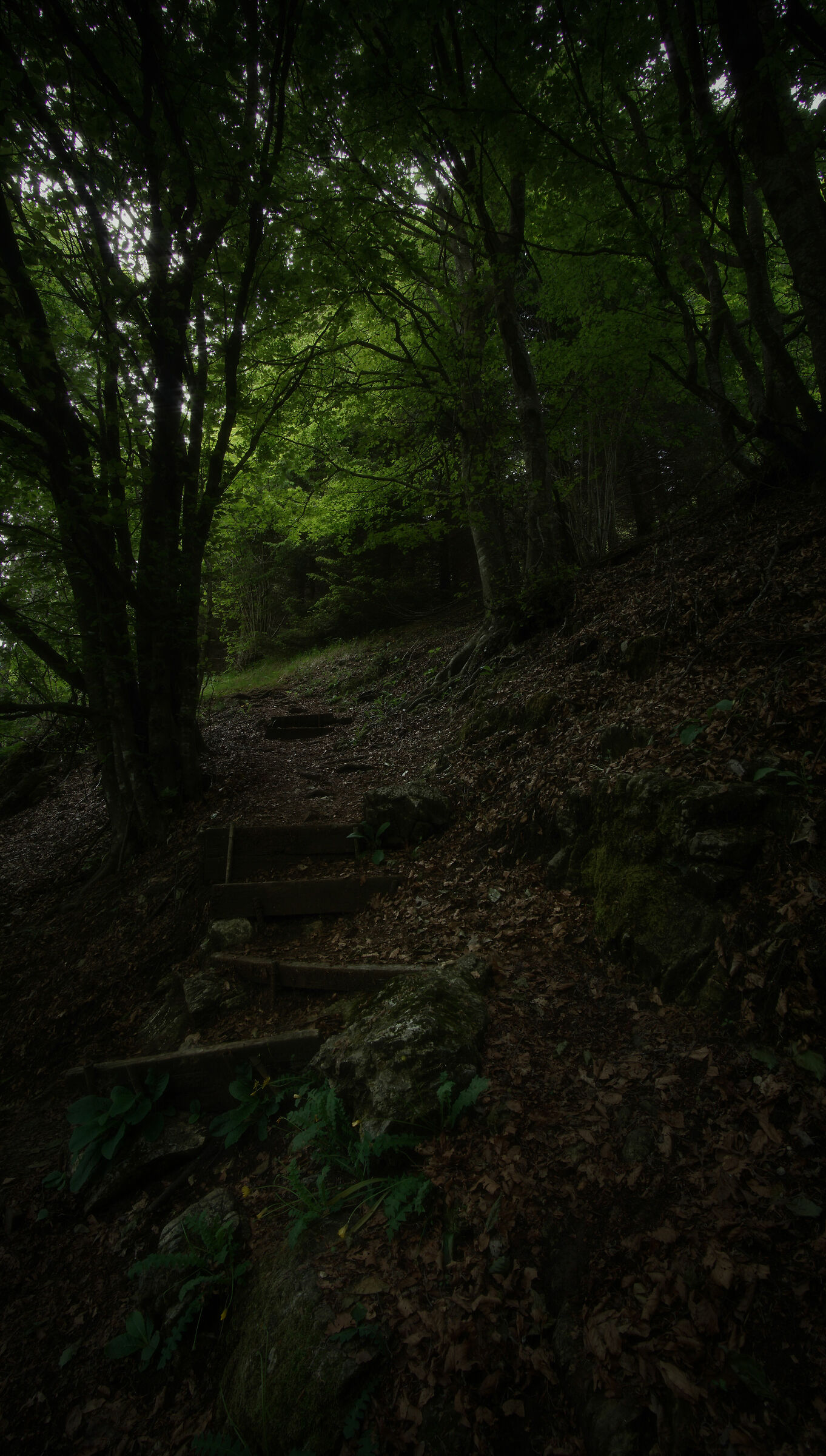 Towards the Light