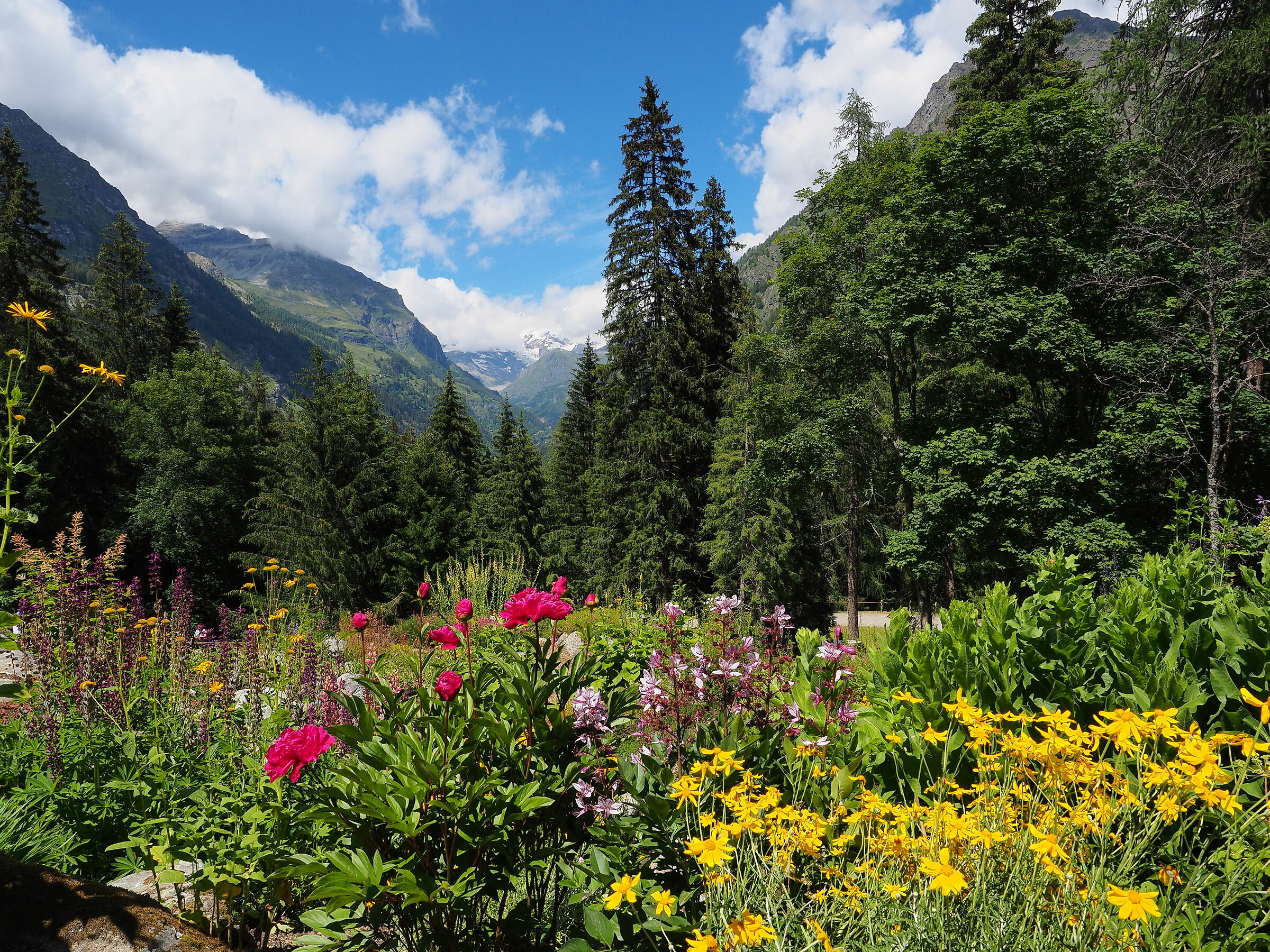 When nature is the protagonist