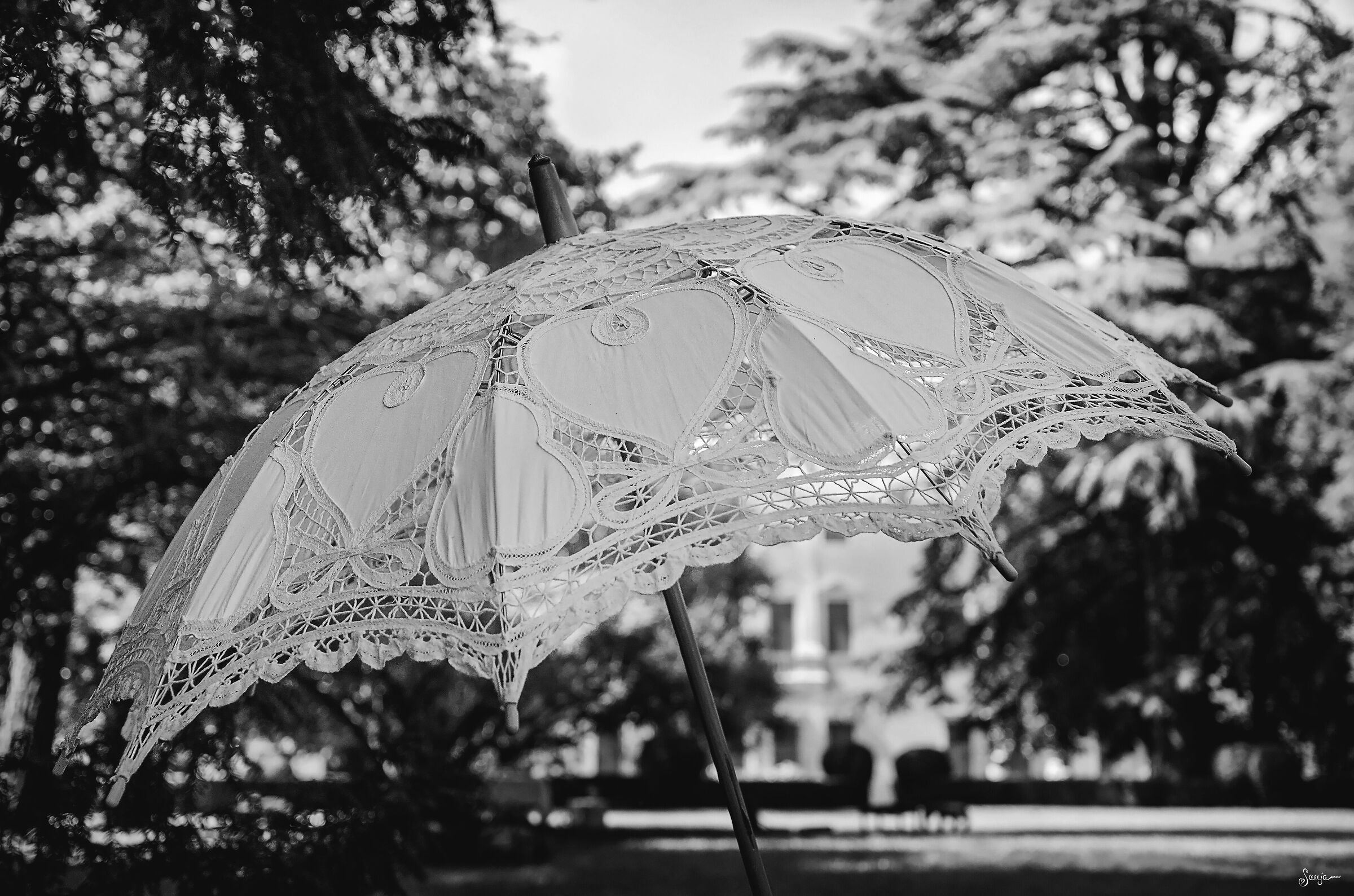 Untitled Photo