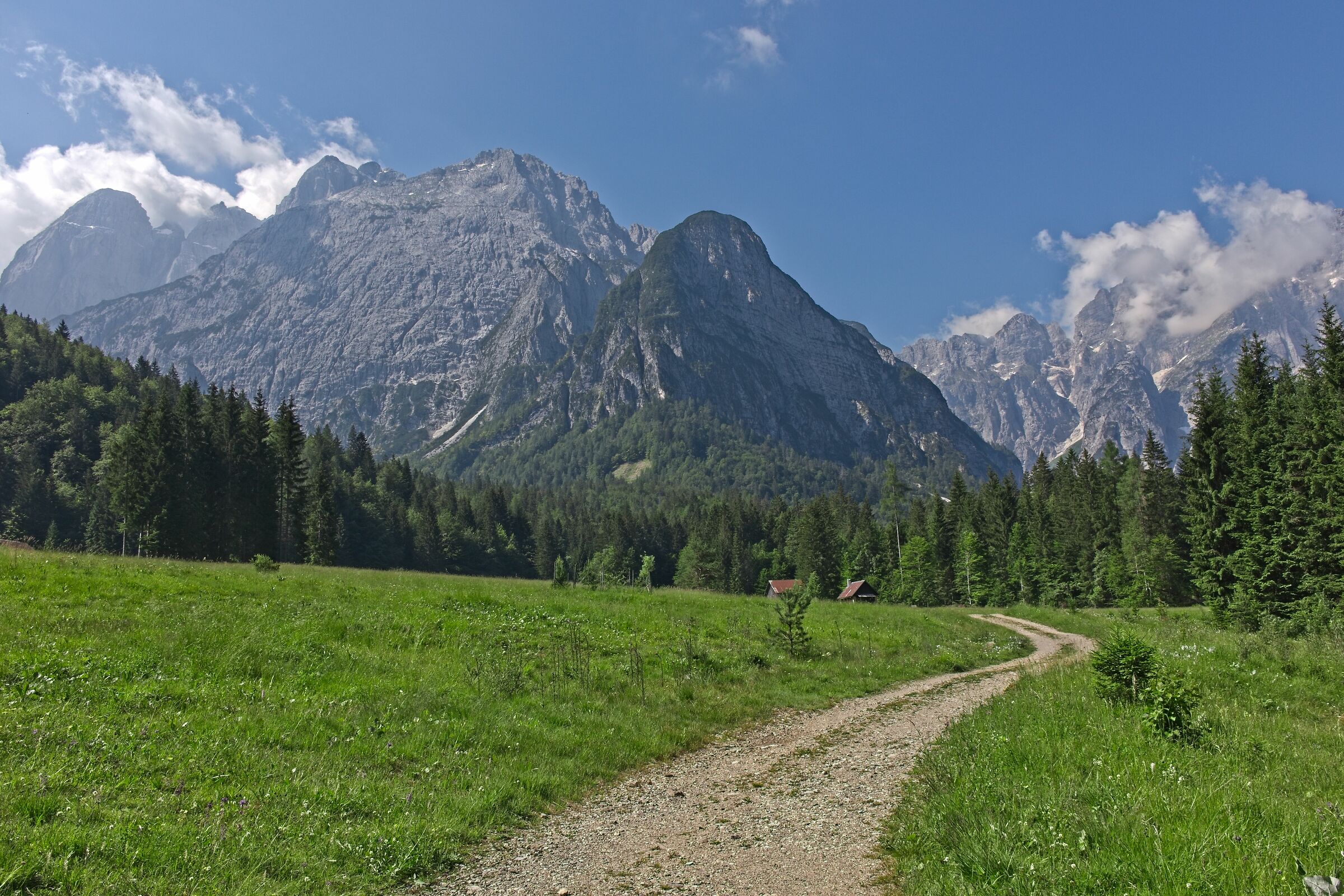 "The Enchanted Valley"