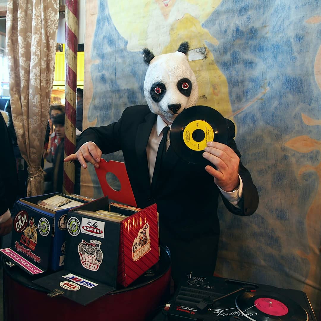 Bear DJ
