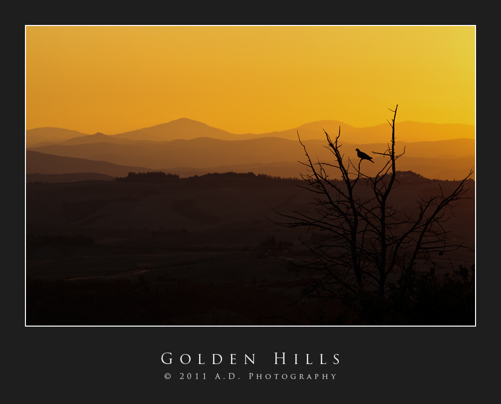 Golden Hills