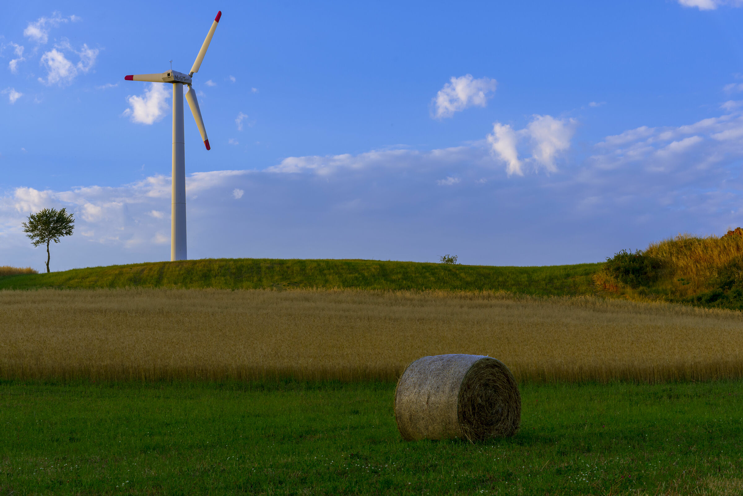 Innovation and Tradition