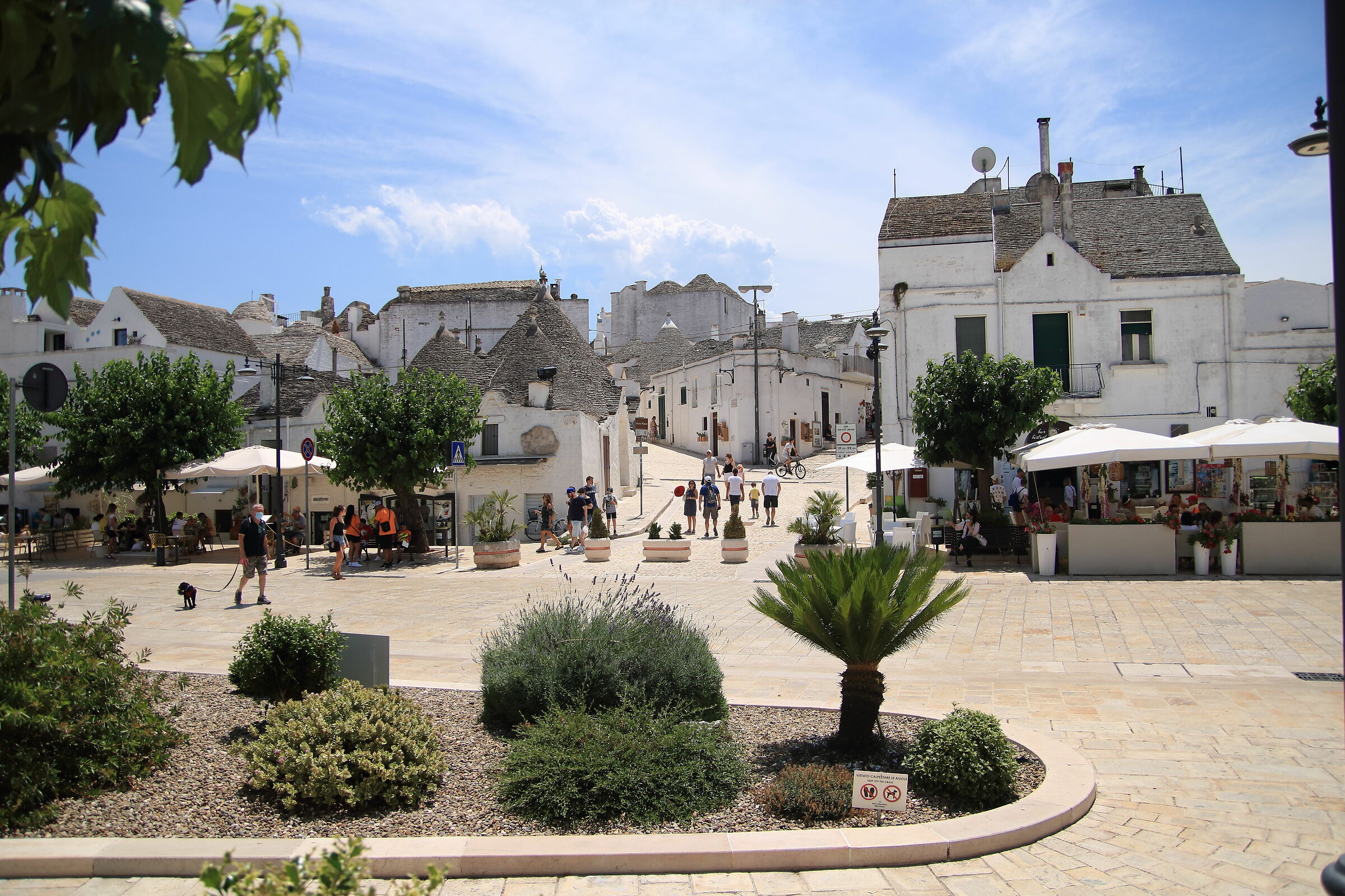 Alberobello 1