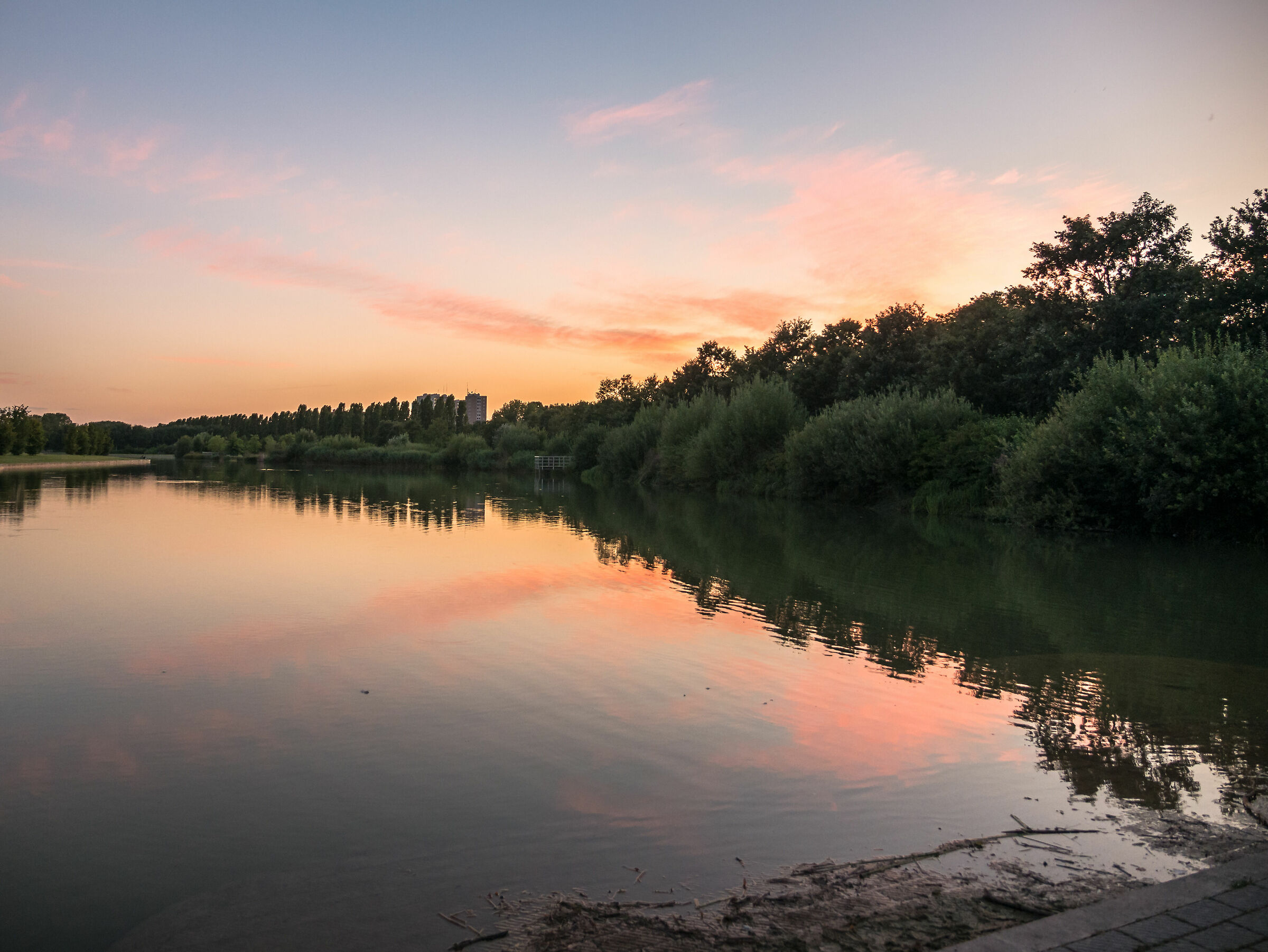 North Park pond - Milan