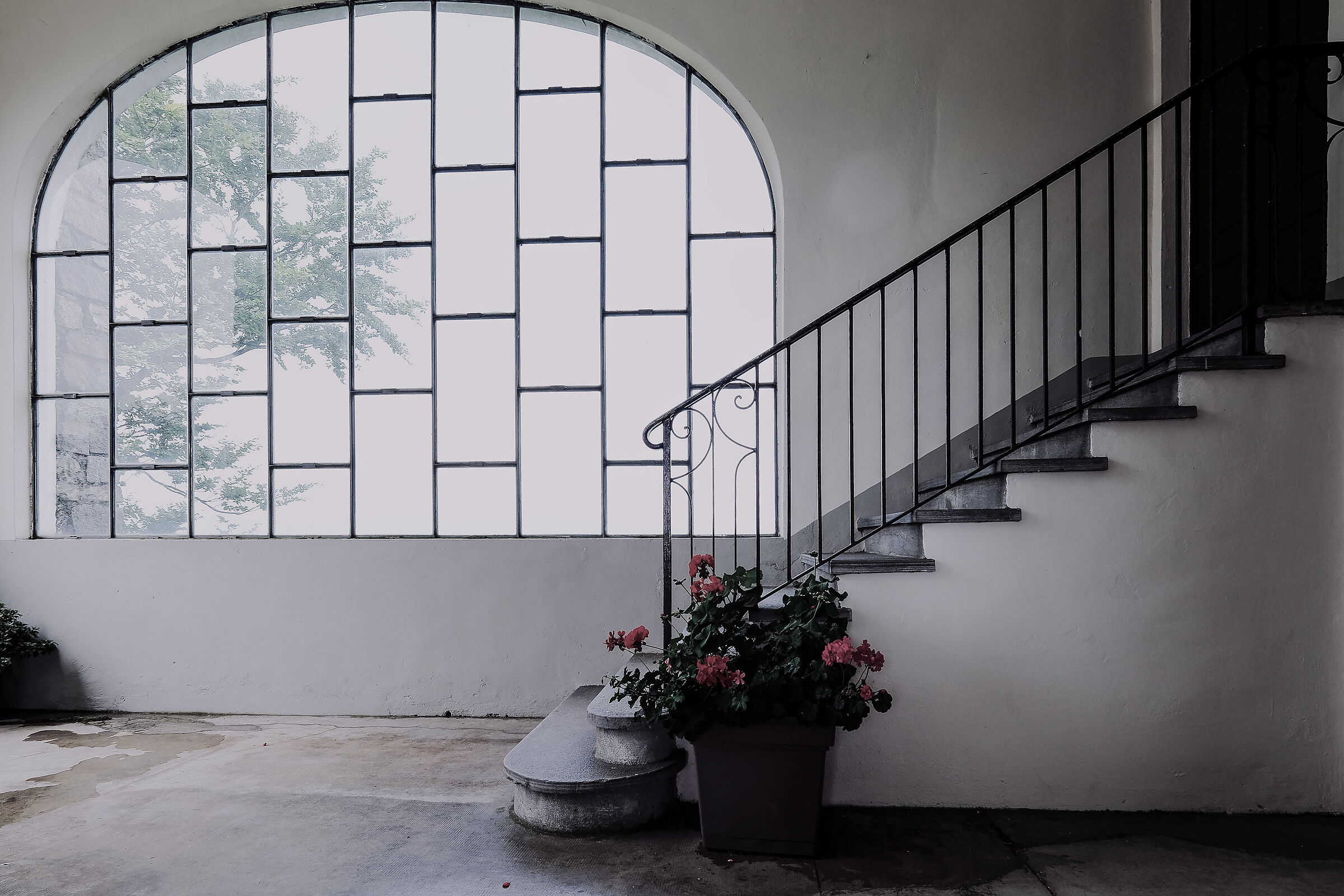 Nuvole oltre i vetri