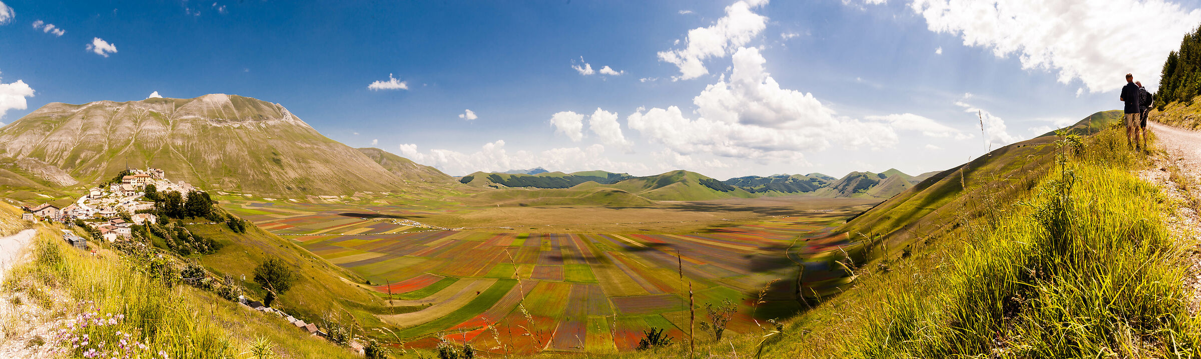 Castelluccio: Fioritura 2020 / Panoramica