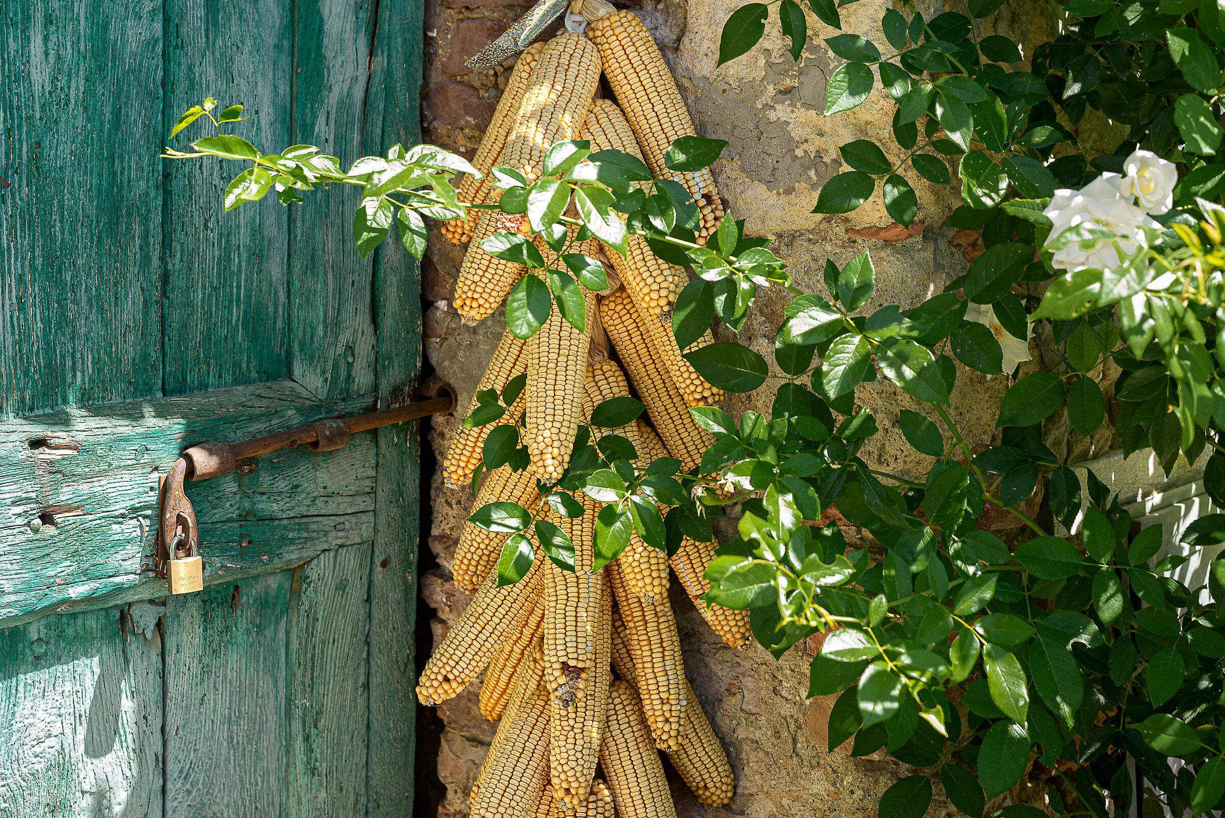 in un vicolo di cetona(si)
