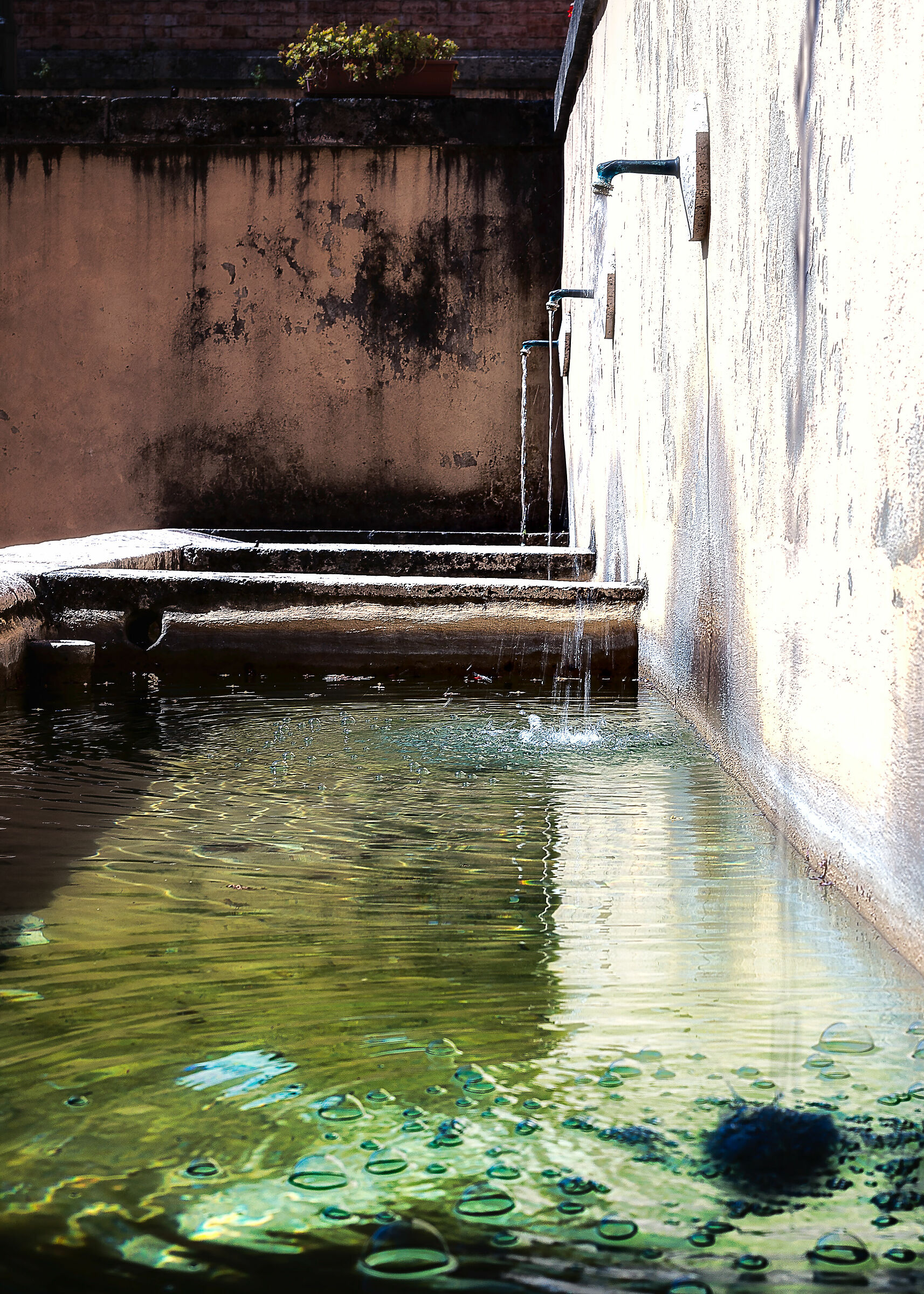 fontana a cetona(si)