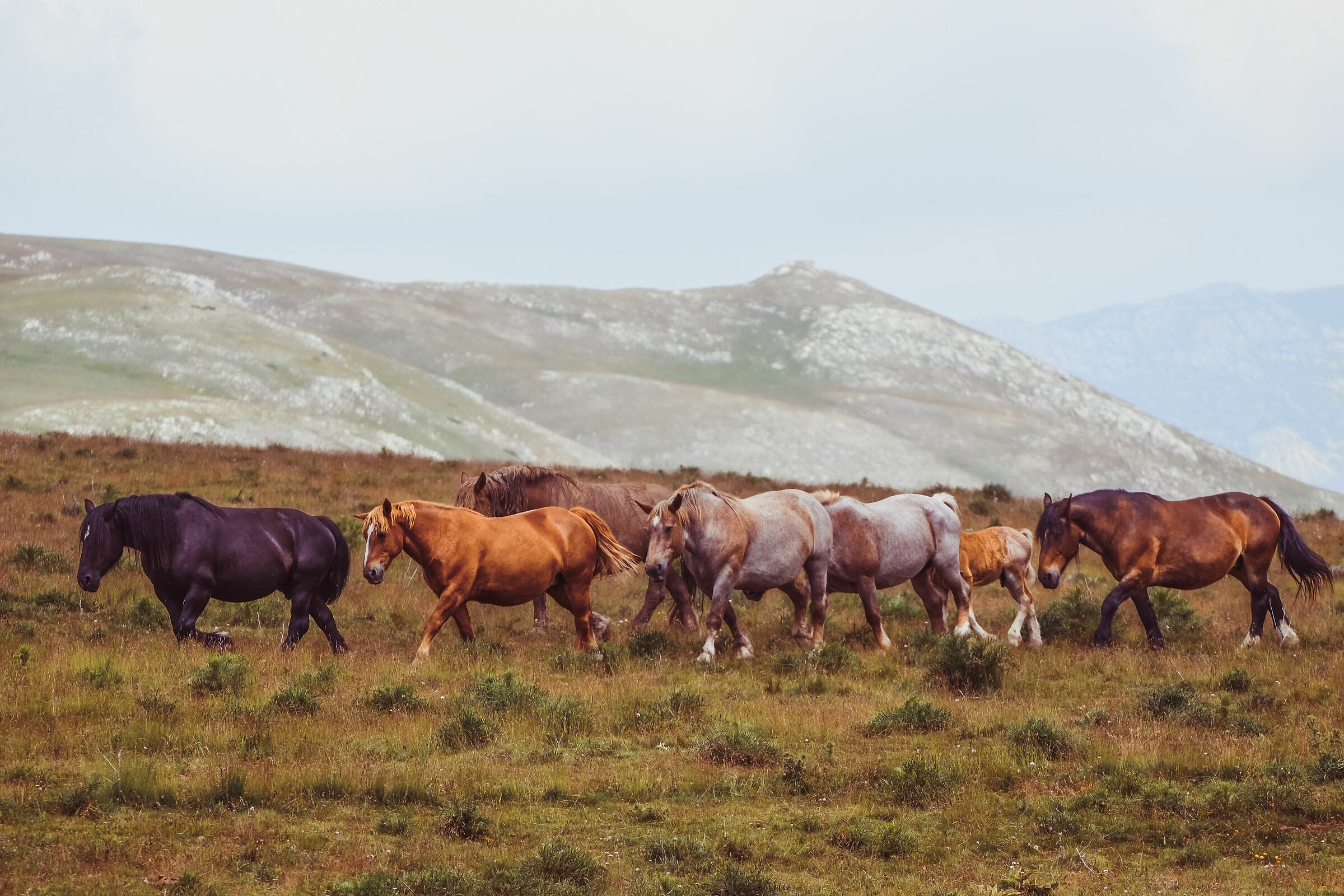 Campo Imperatore