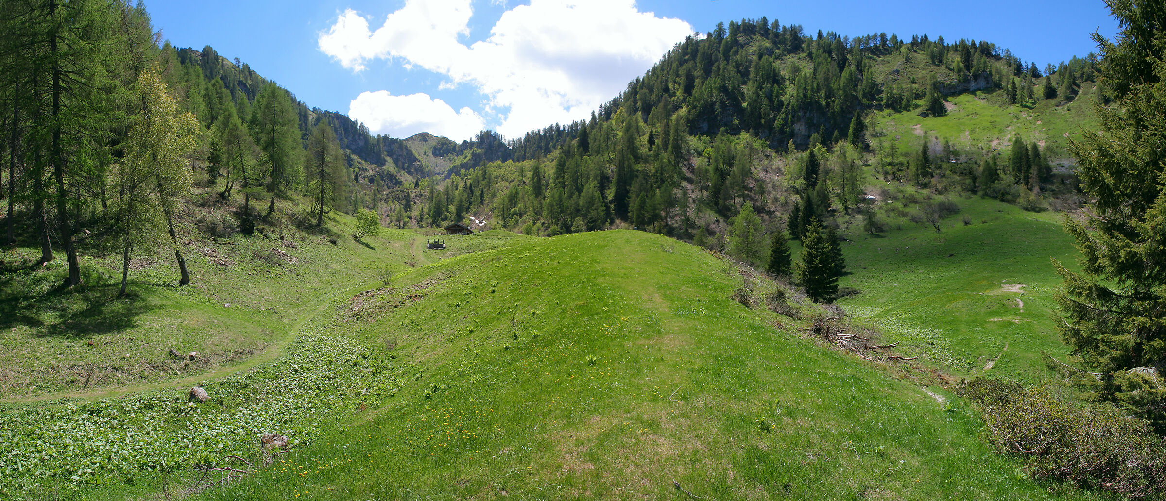 Malga Solvia_Borgo Lares_collage of photos