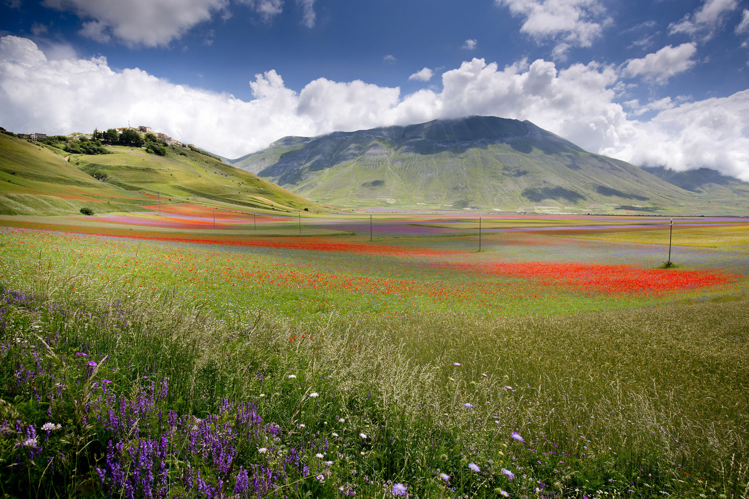 Piana di Castelluccio