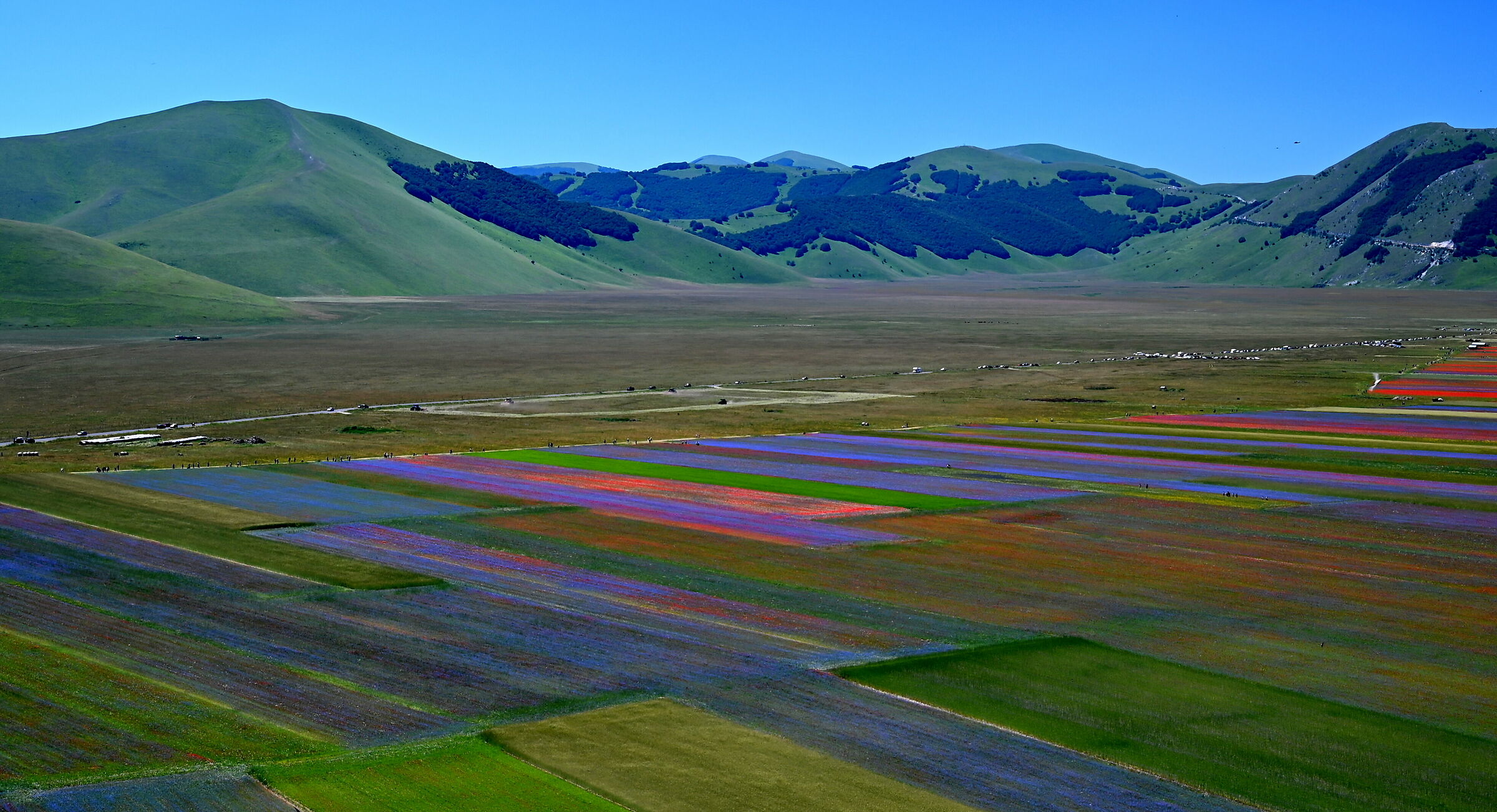 ...m'è dolce naufragar in questo mare.