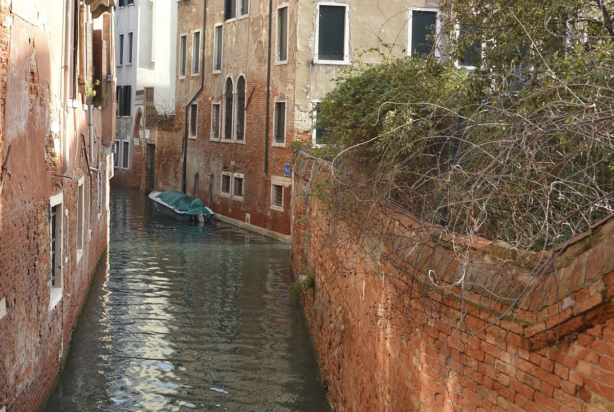 venice unknown