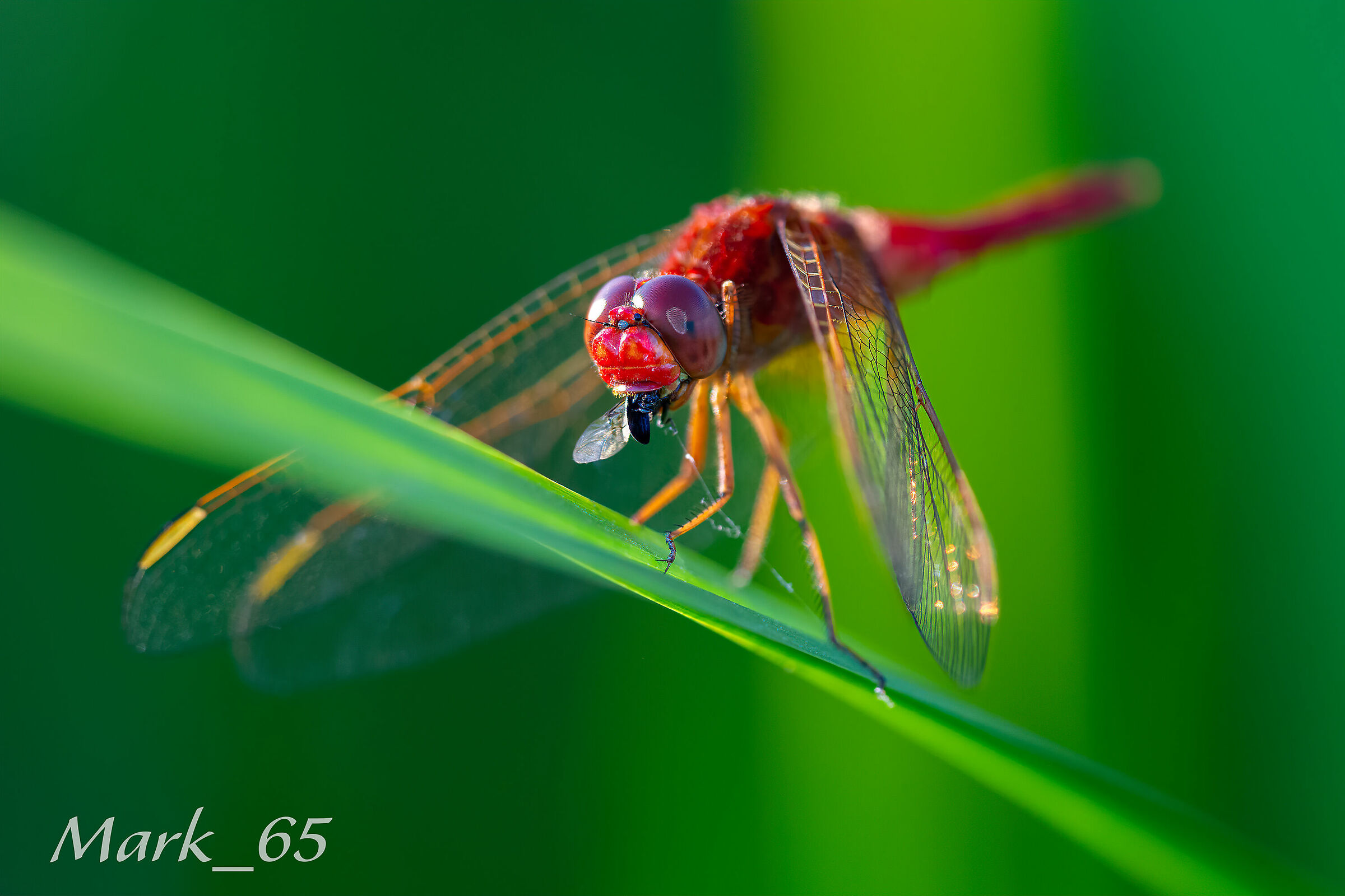 una realtà naturale