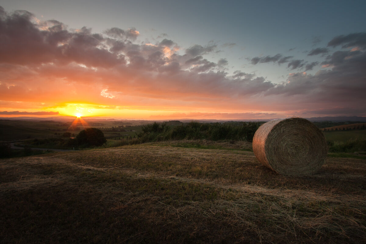 Tramonto sulla terra di Siena ...