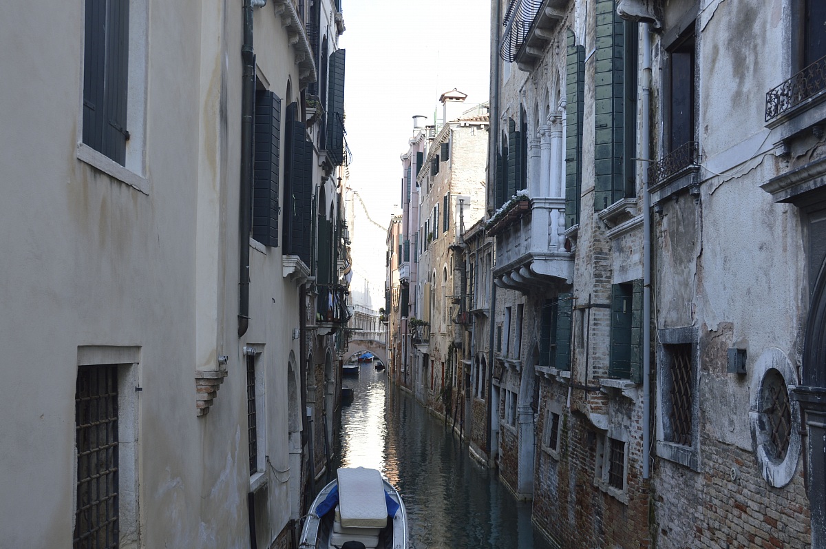 venice unknown