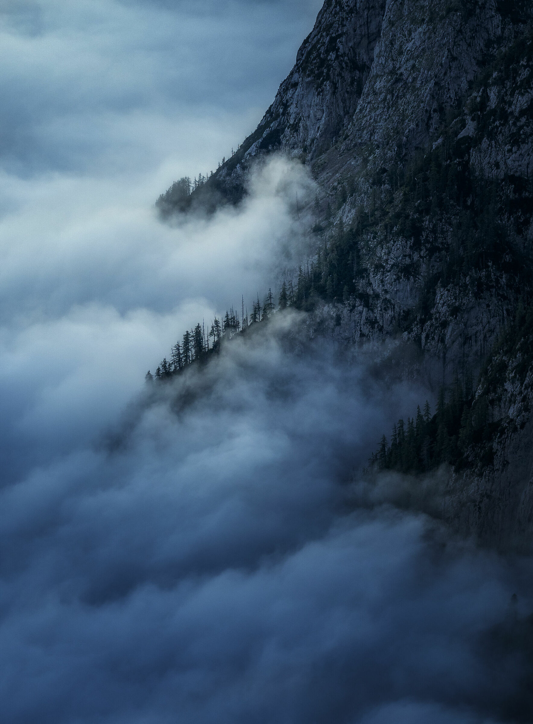 Fog