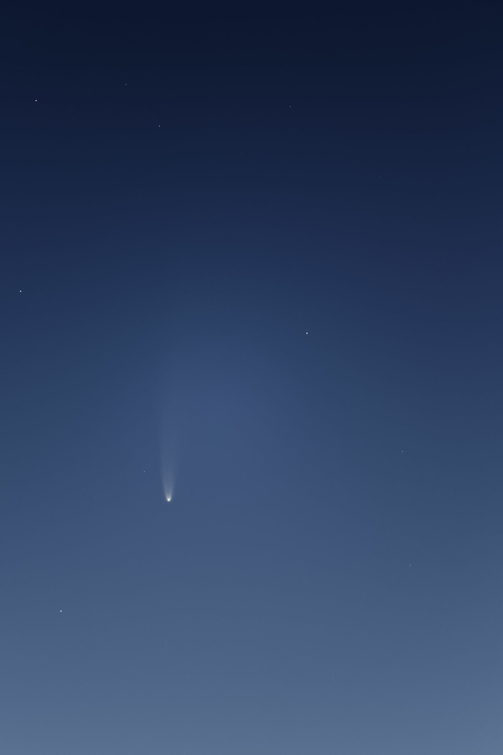 Cometa Neowise