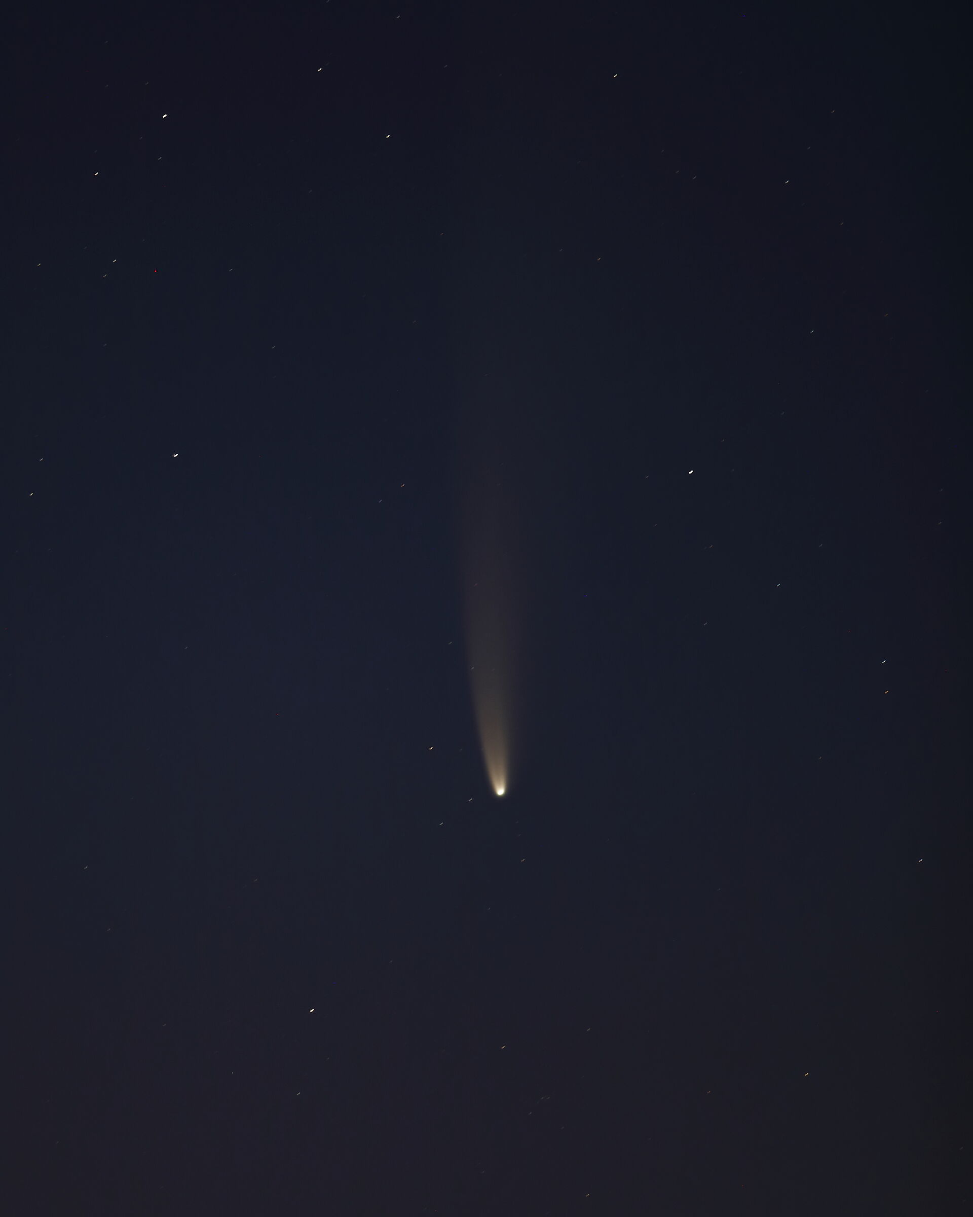 Neowise Comet