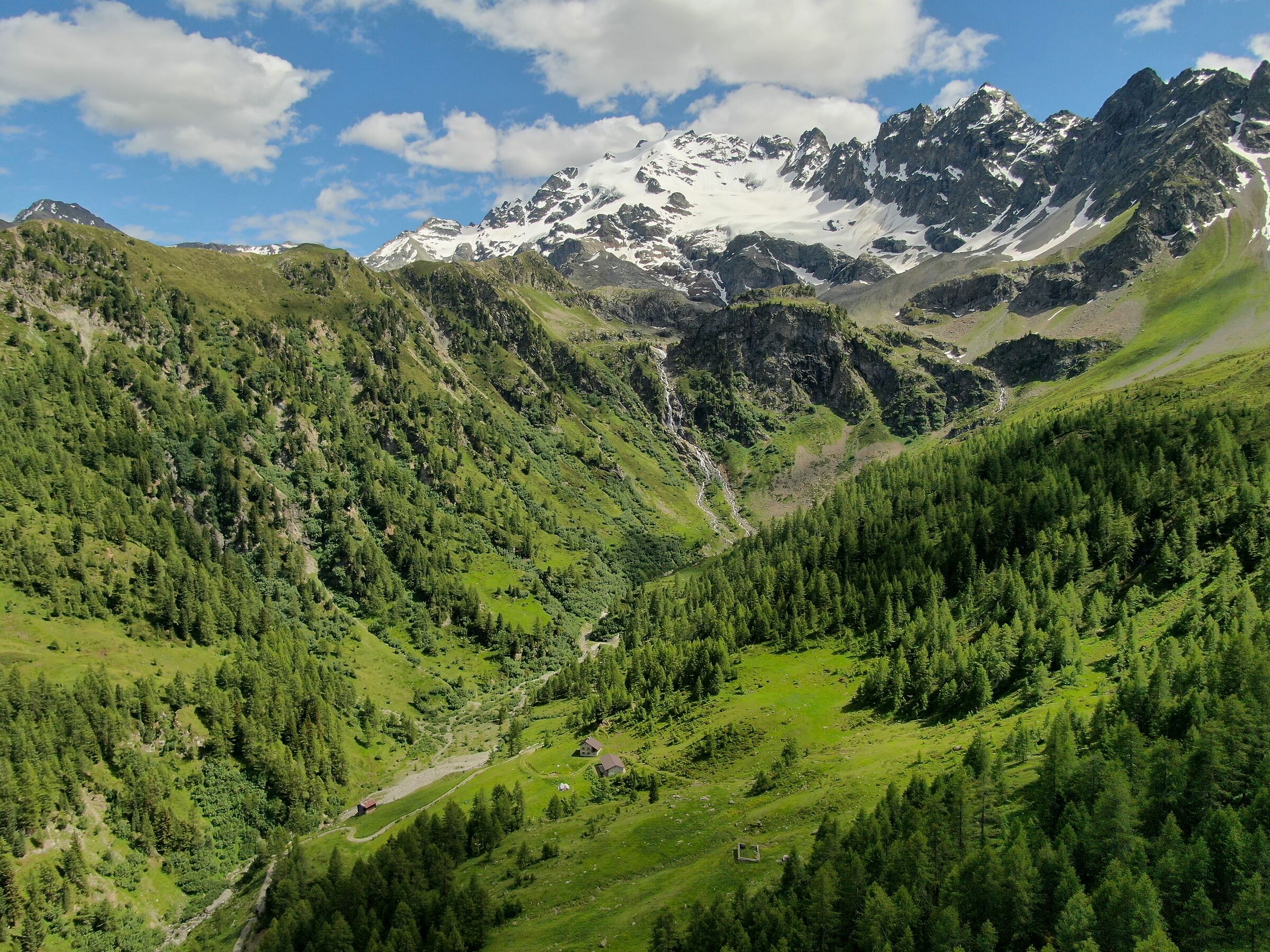 Alpe Cardonè Piazzi