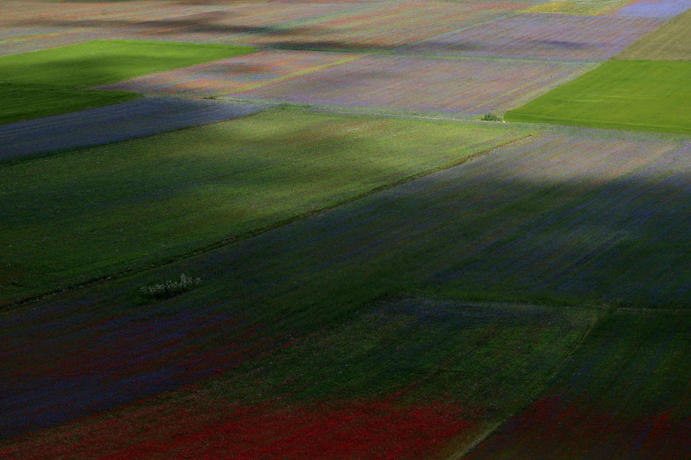 Ombre sul tappeto colorato