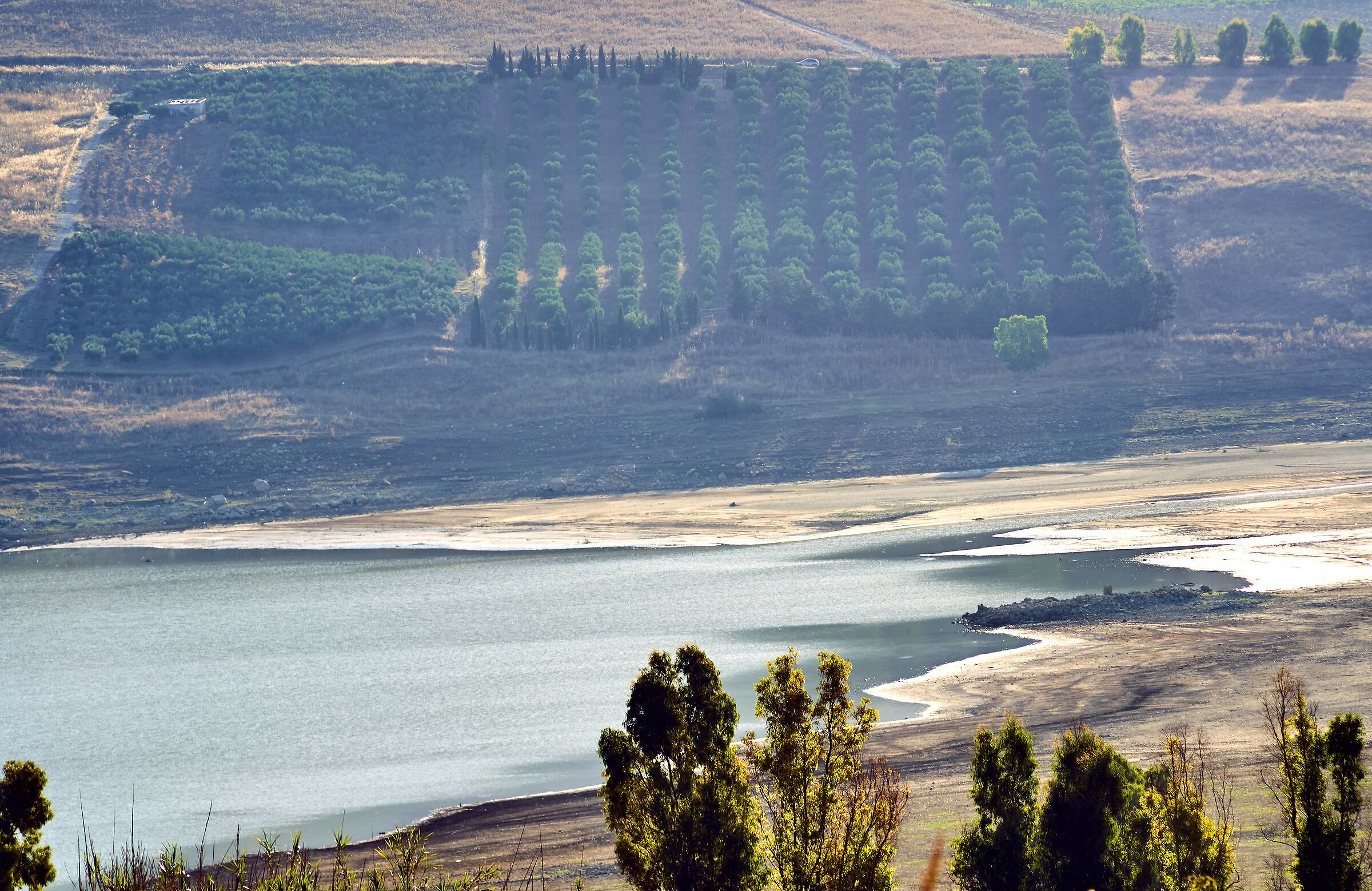 Una mattina d' estate: lago Poma