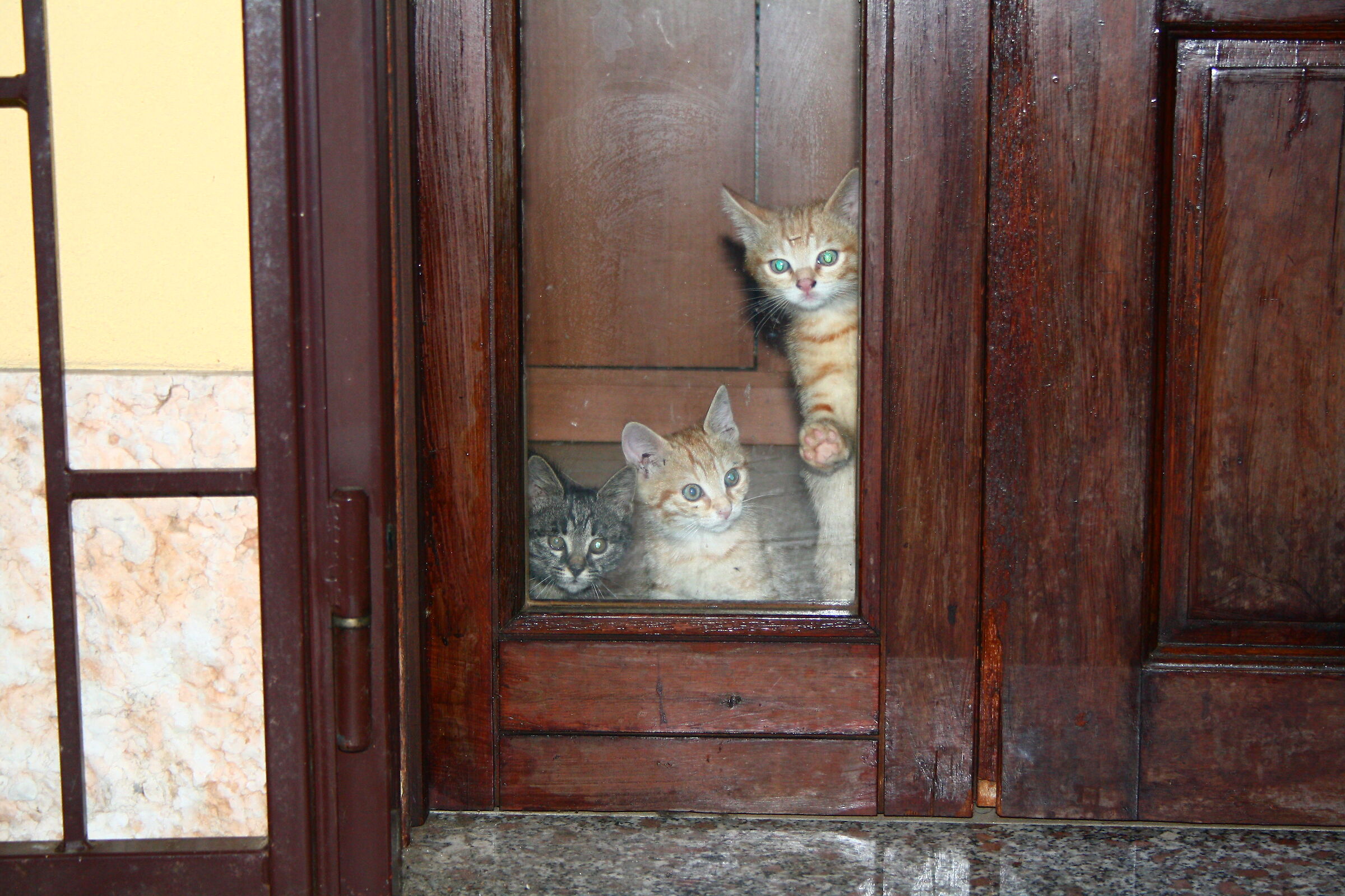 Minù - Artù - Zeus in attesa