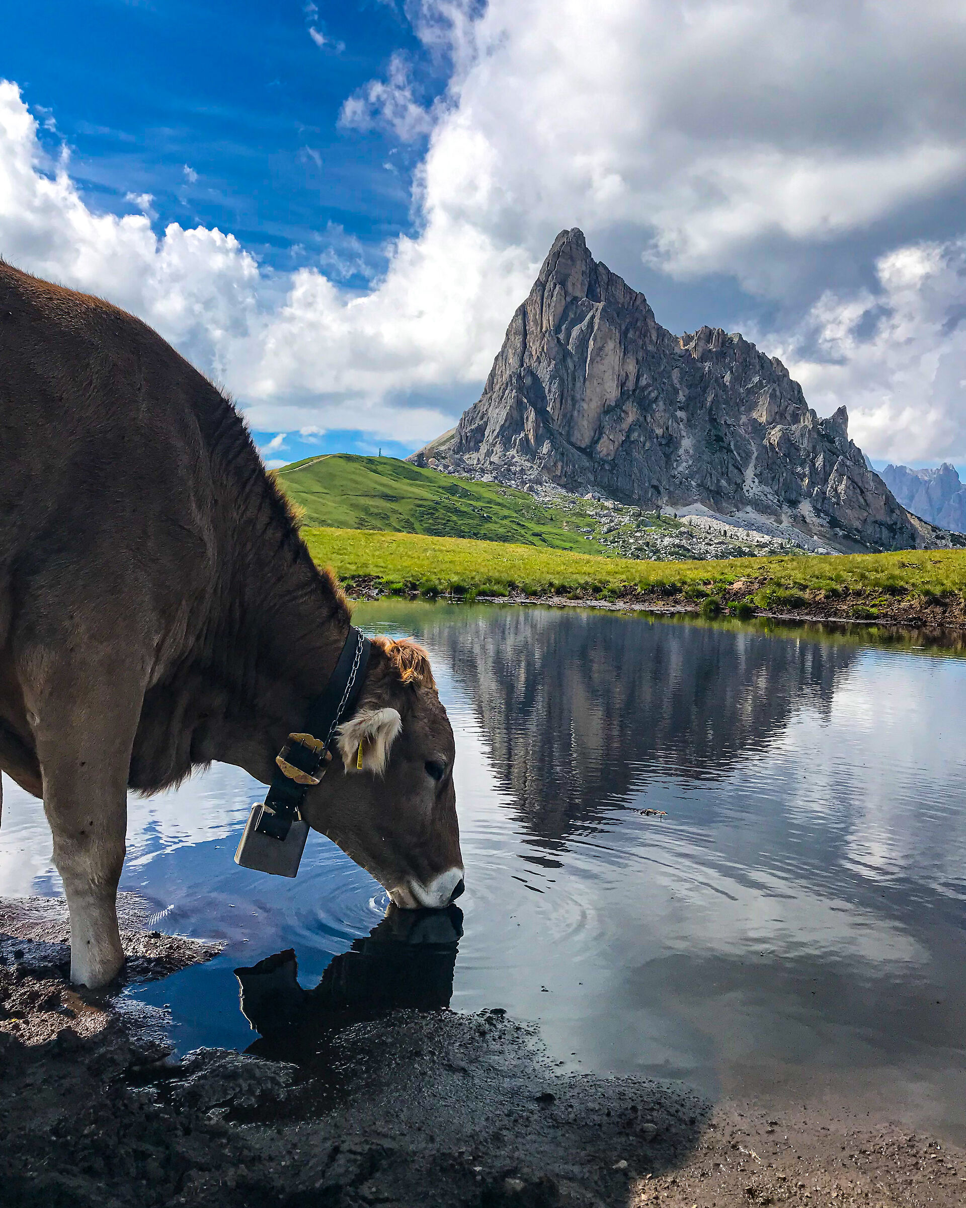 Incontri fotografici