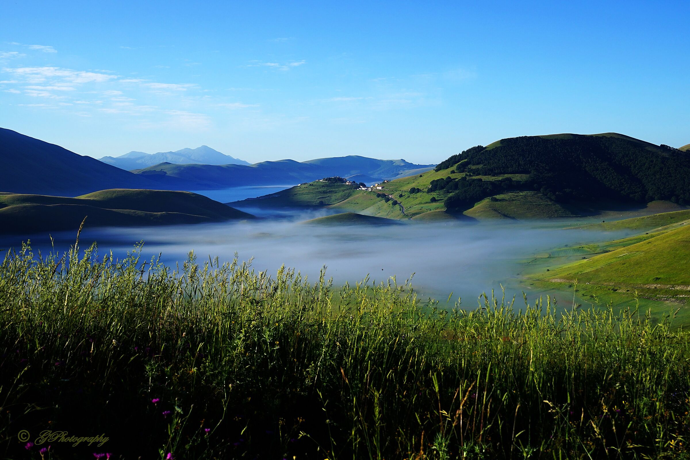 A good morning can be seen from the morning