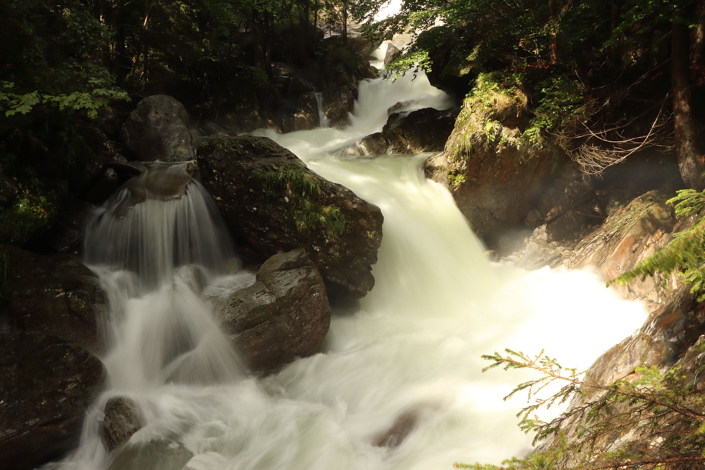 Valsanguigno in piena