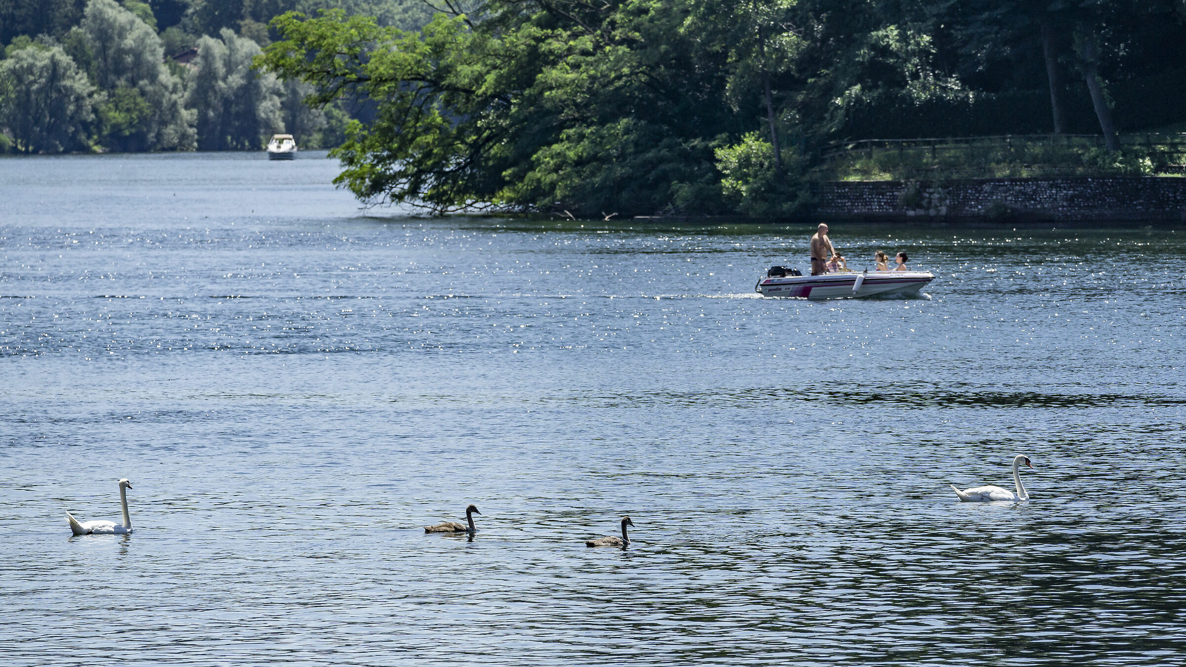 Domenica 5 luglio 2020, 12:36:30