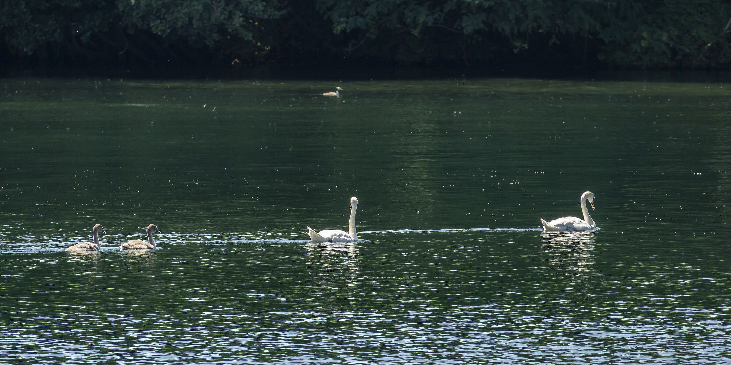 Sunday, July 5, 2020, 12:39:54