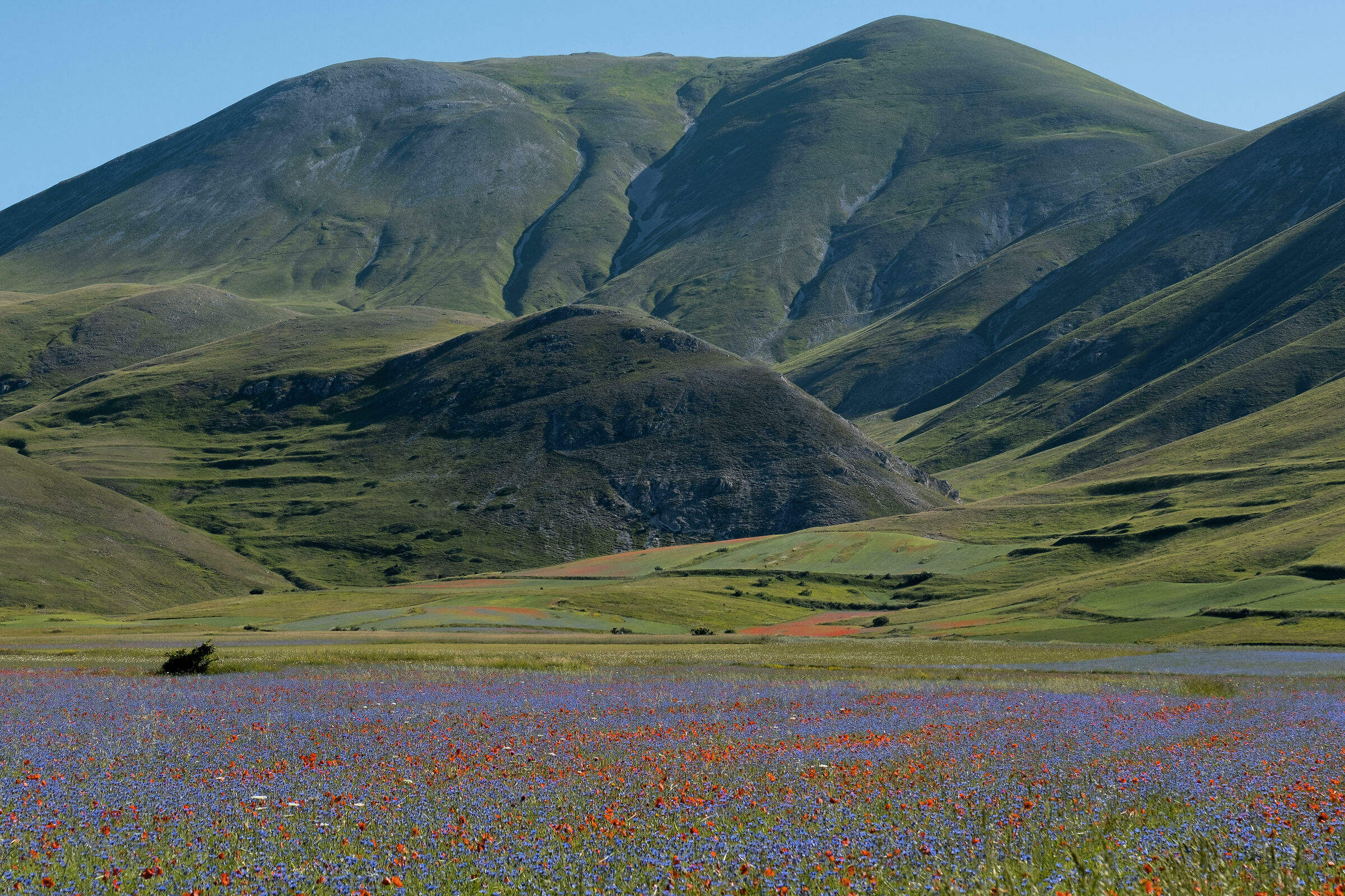 Castelluccio 2020