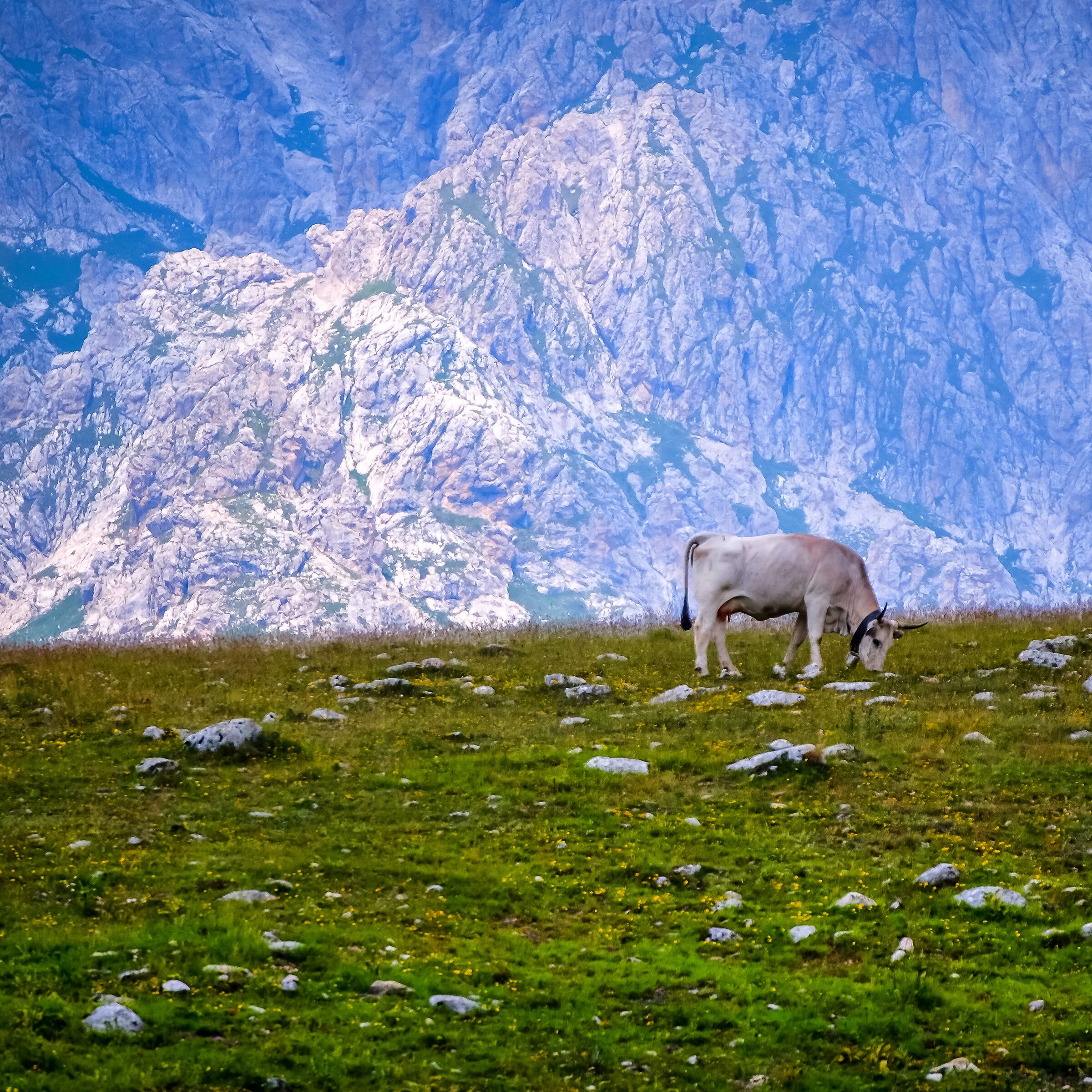 Campo Imperatore