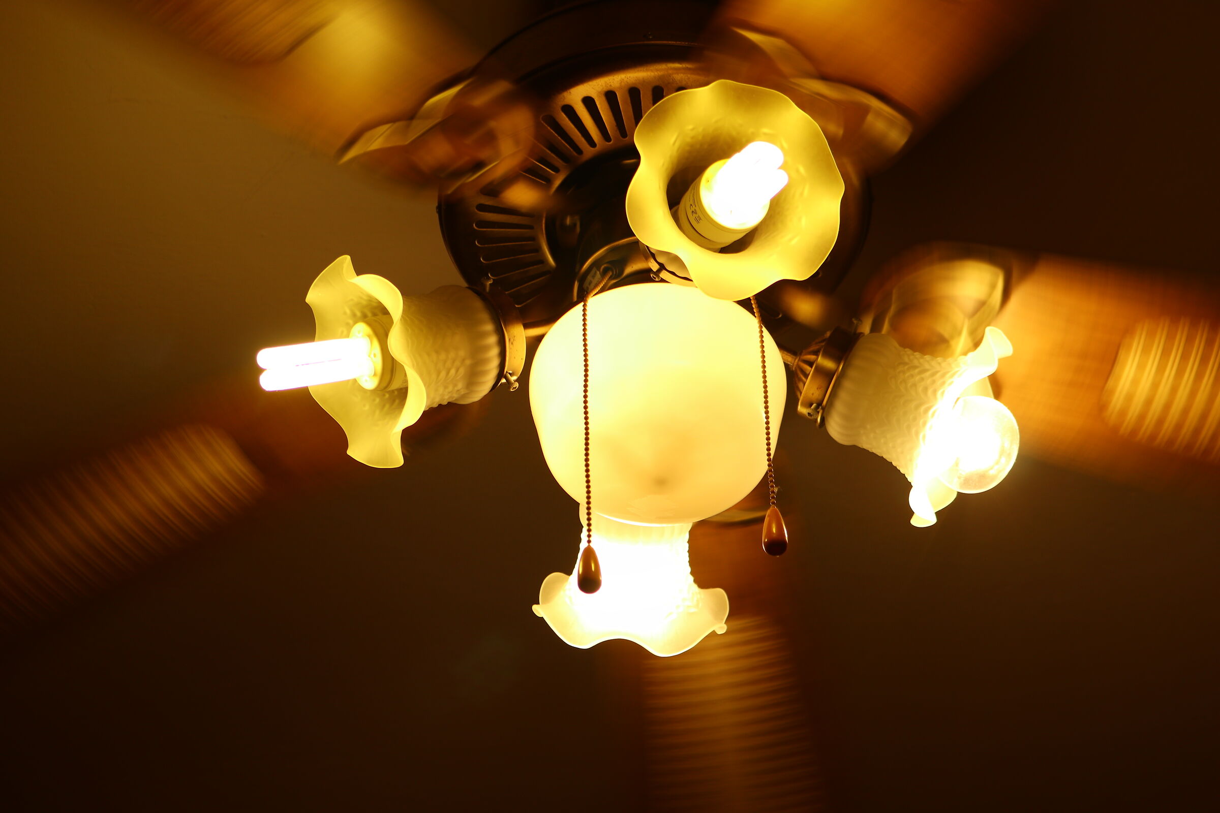 Ceiling fan portrait