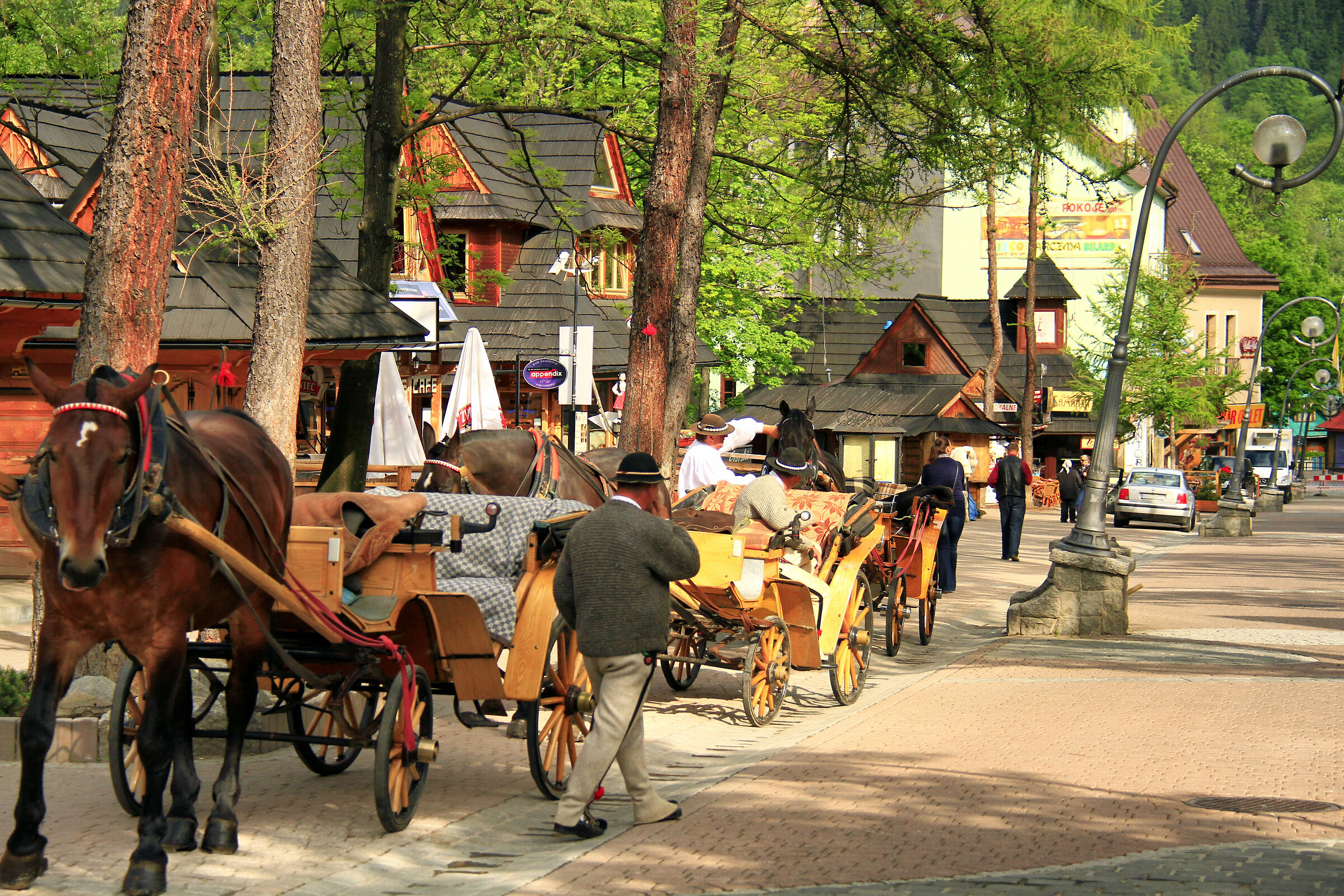 Waiting for tourists