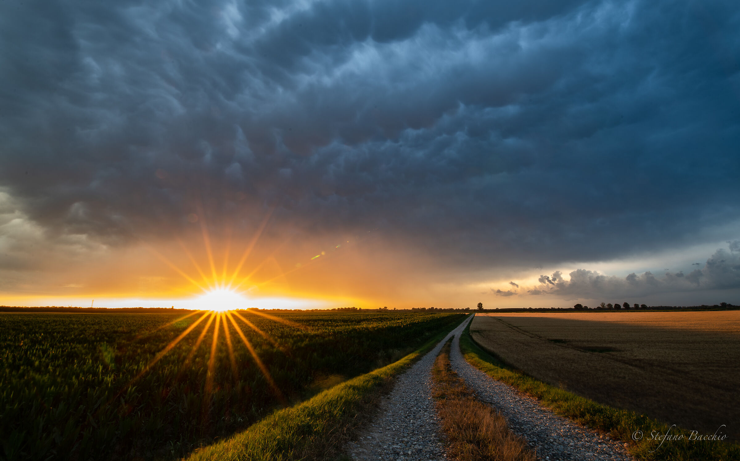 The Eye of the Sunset