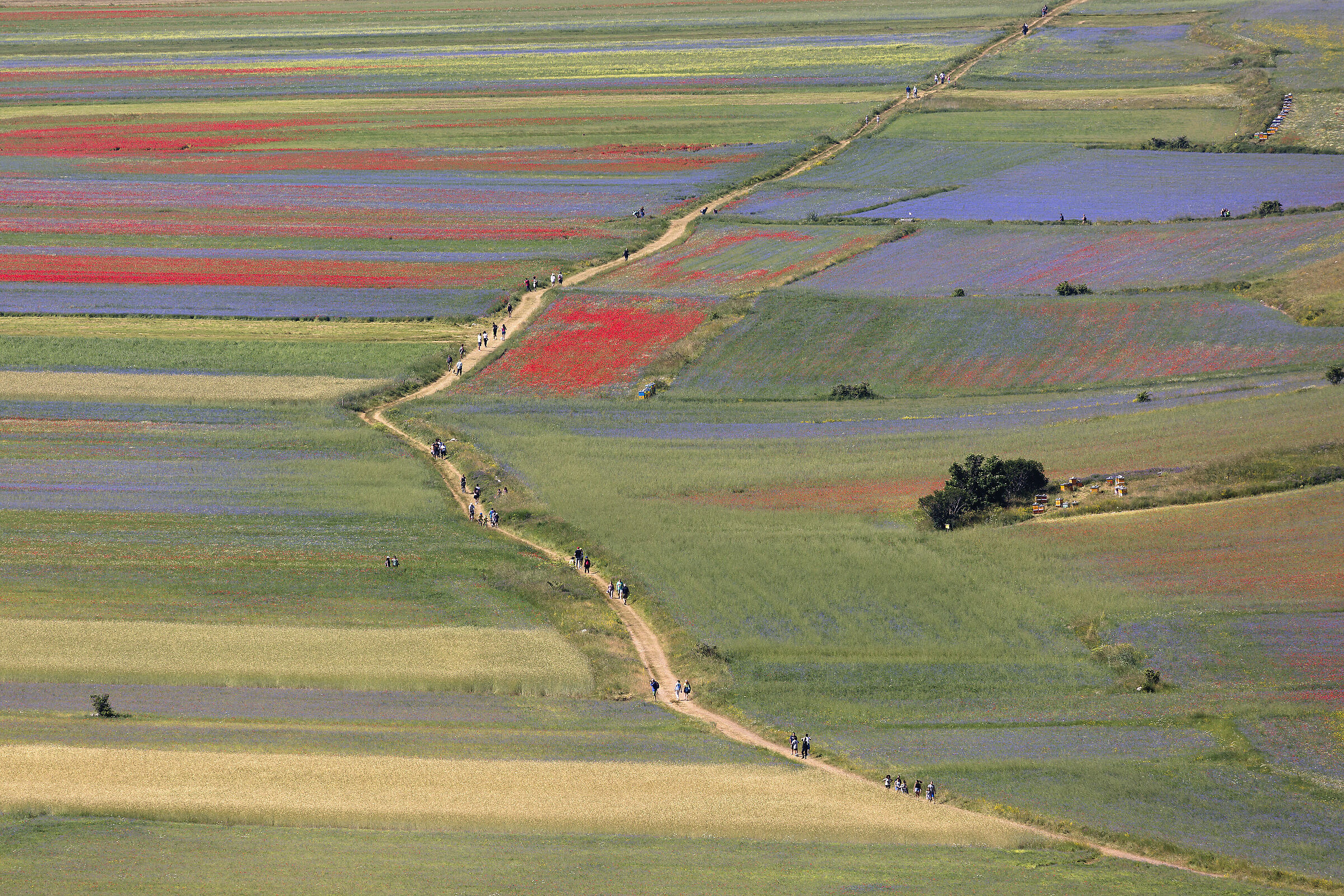 A passeggio nella Piana