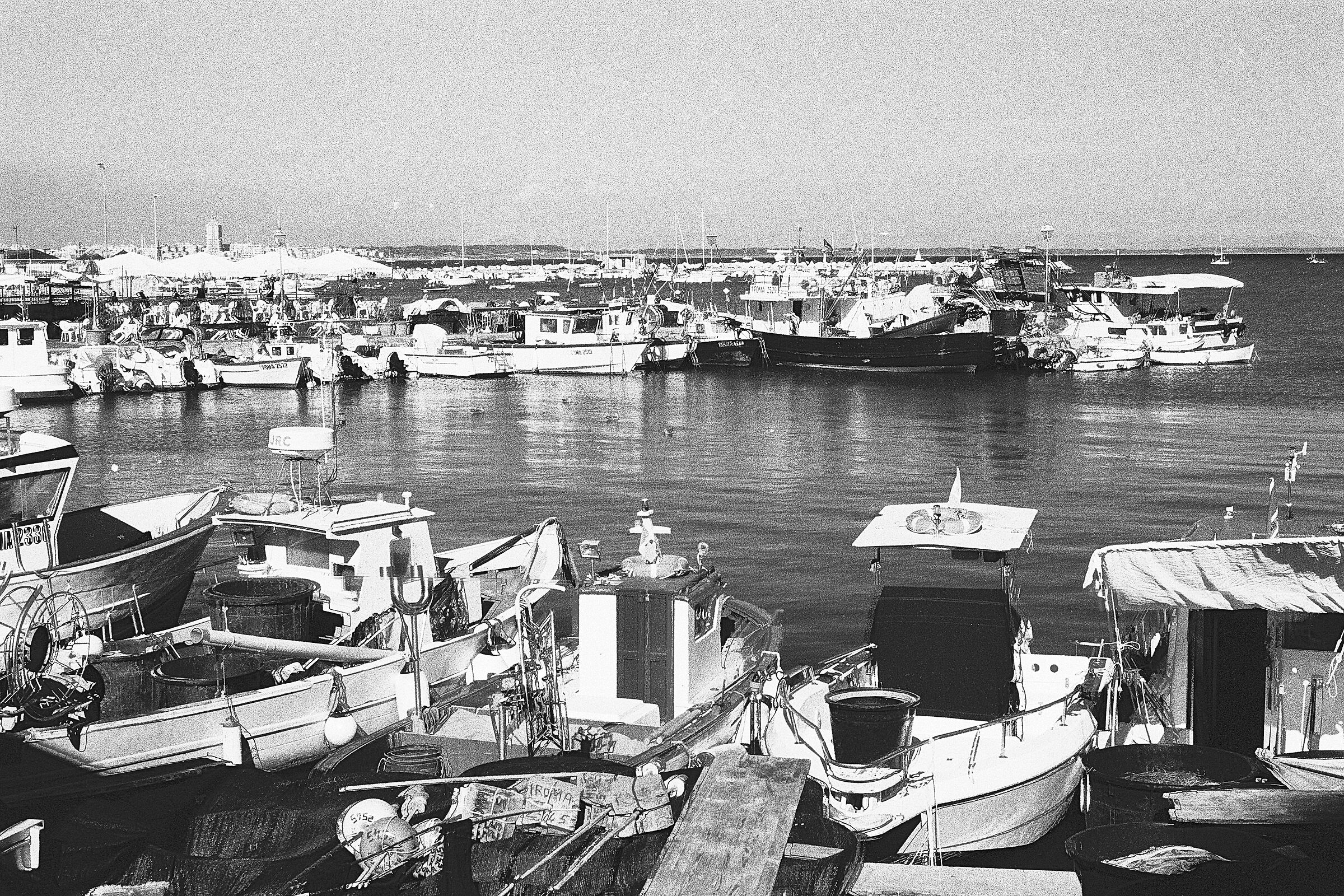 Passeggiata nel porto